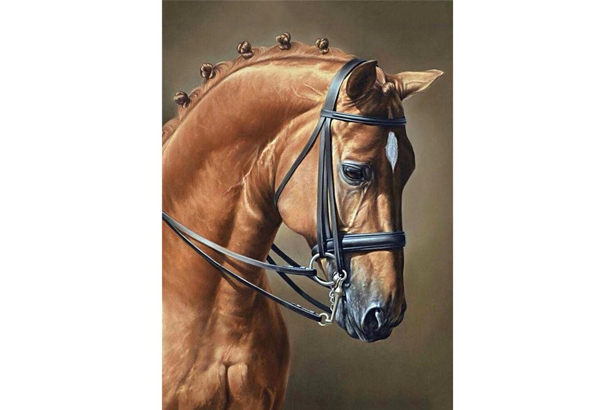 Tablou cu diamante - Frumusețe cabalină, 27 x 38 cm