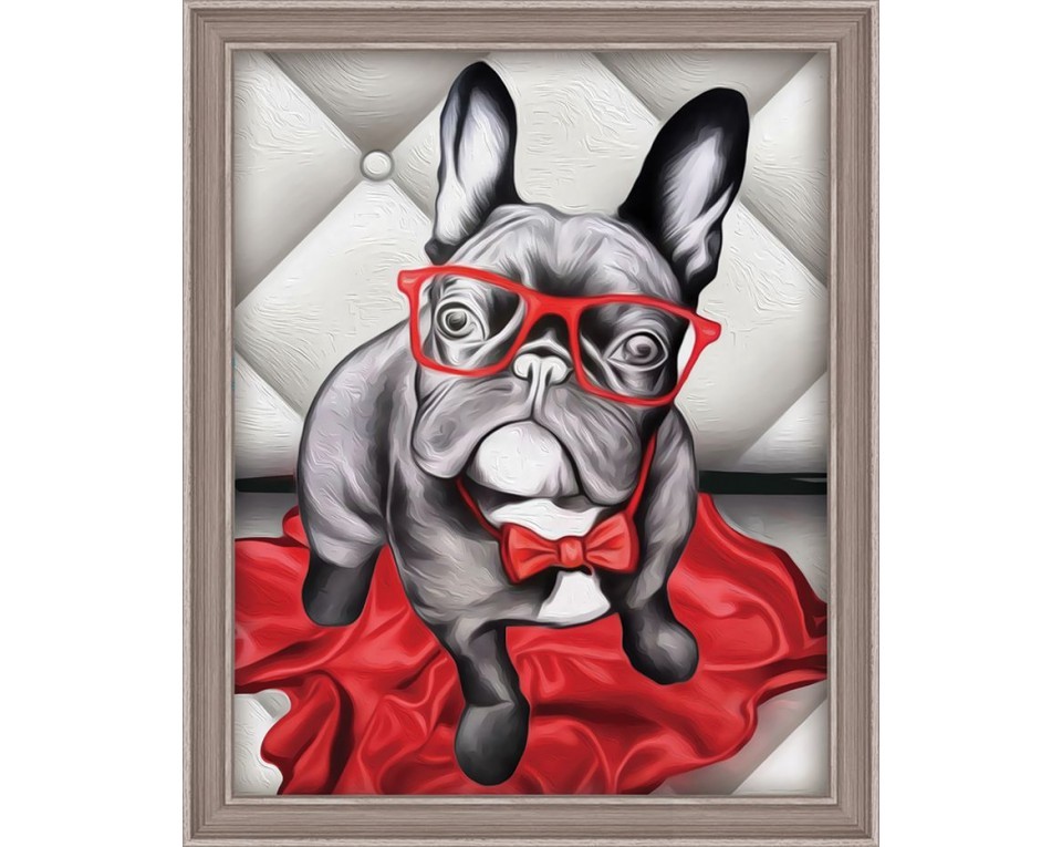 Tablou cu diamante – Bulldog elegant (24 x 30 cm) edituradiana.ro imagine 2022