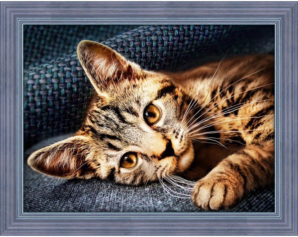 Tablou cu diamante - oliver (30 x 40 cm)