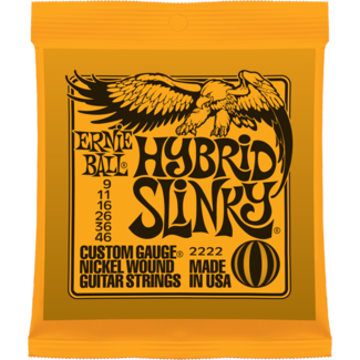 Corzi store ernie ball