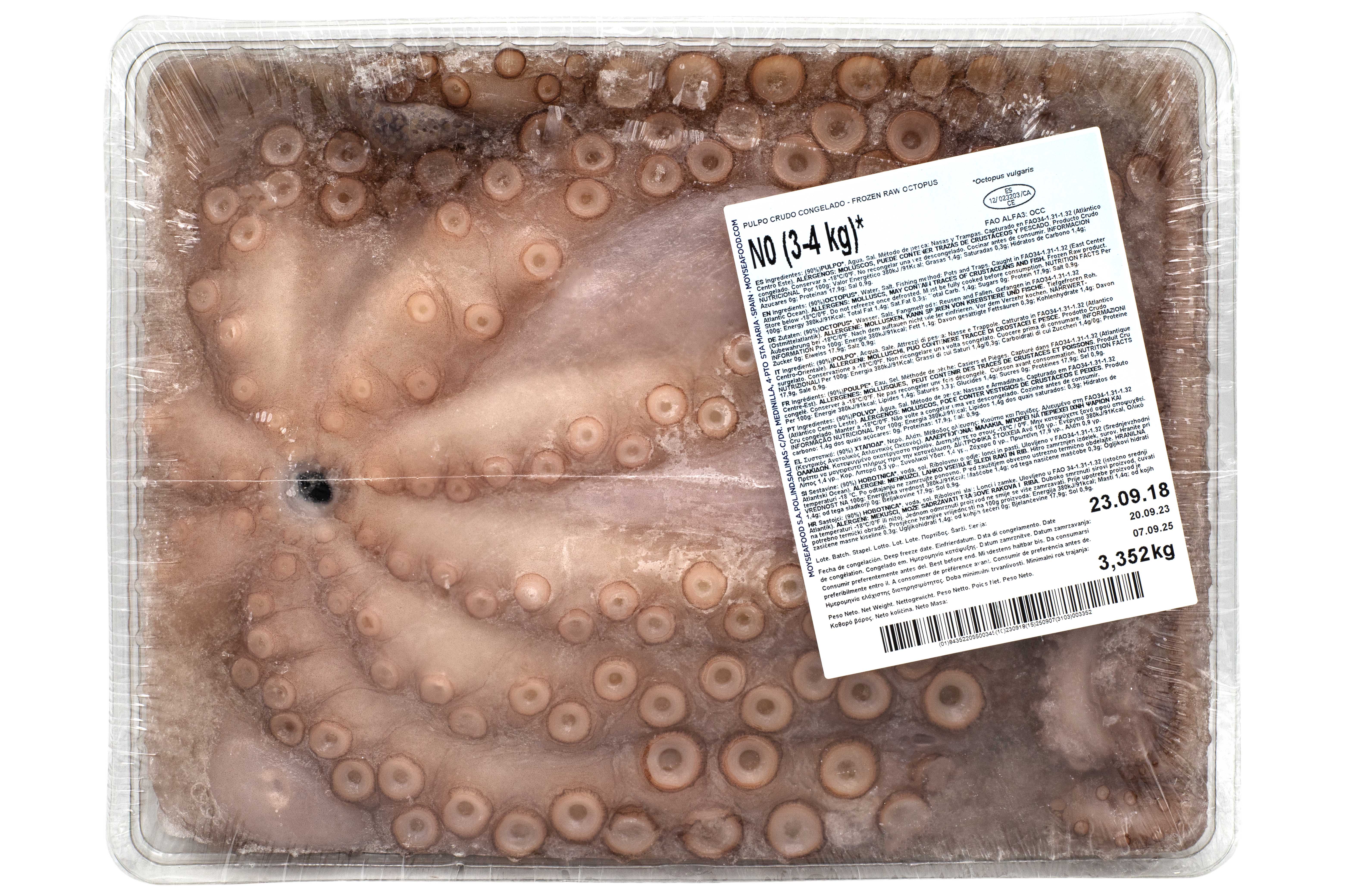 Caracatita cruda intreaga 3 kg bucata calitate premium Spania Moy Seafood  