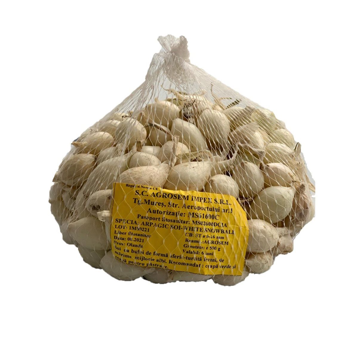 Bulbi - Arpagic Snowball, calibru 9/21 mm, 0,5 kilograme, hectarul.ro