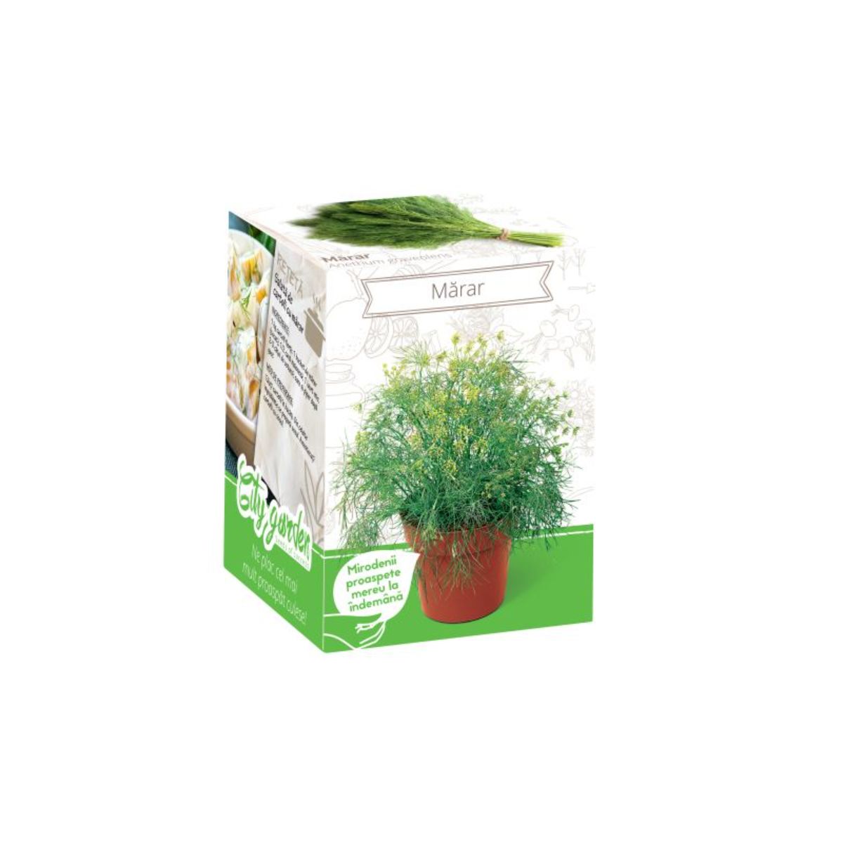 Seminte plante aromatice - Kit Plante Aromatice Marar, hectarul.ro