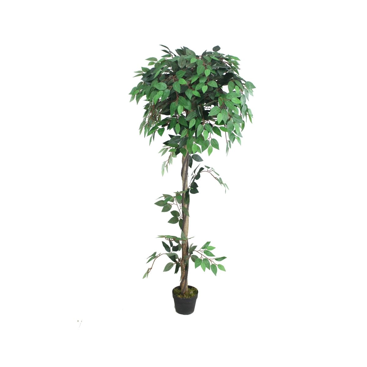 Decoratiuni de interior - Planta artificiala 160 cm Ficus 756, hectarul.ro