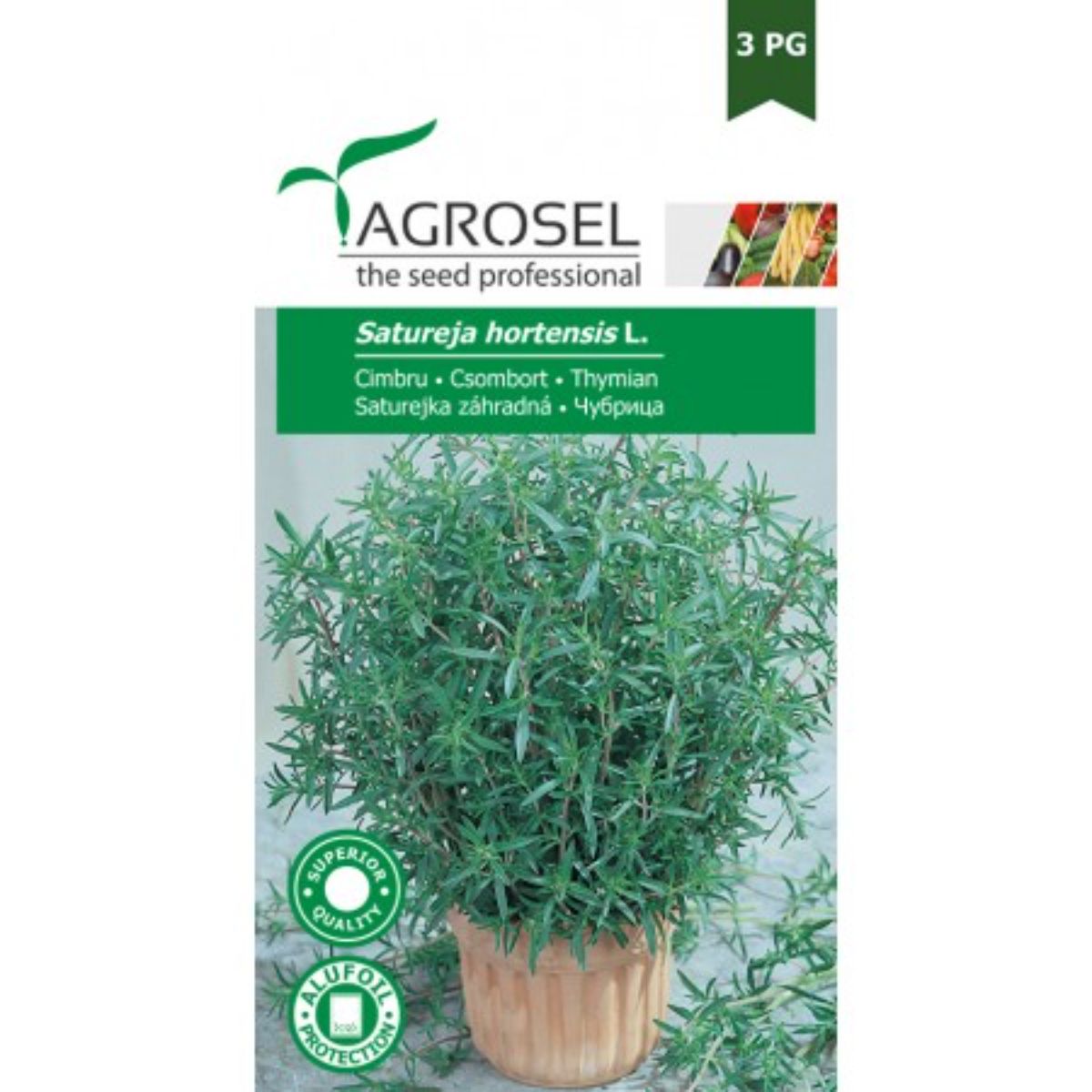 Seminte plante aromatice - Seminte aromatice Cimbru Common Agrosel 2 g, hectarul.ro