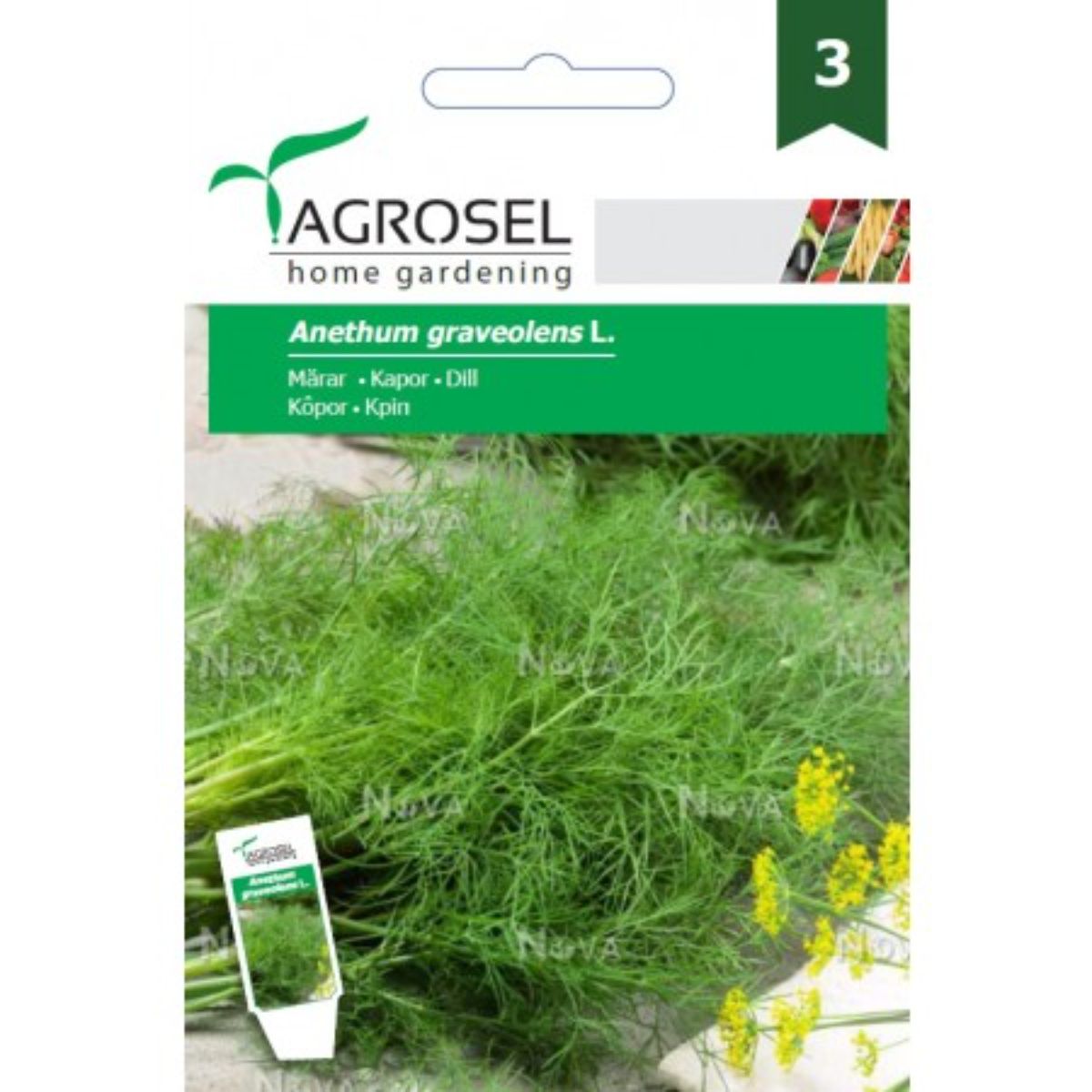 Seminte plante aromatice - Seminte aromatice Marar Agromar Agrosel 5 g, hectarul.ro