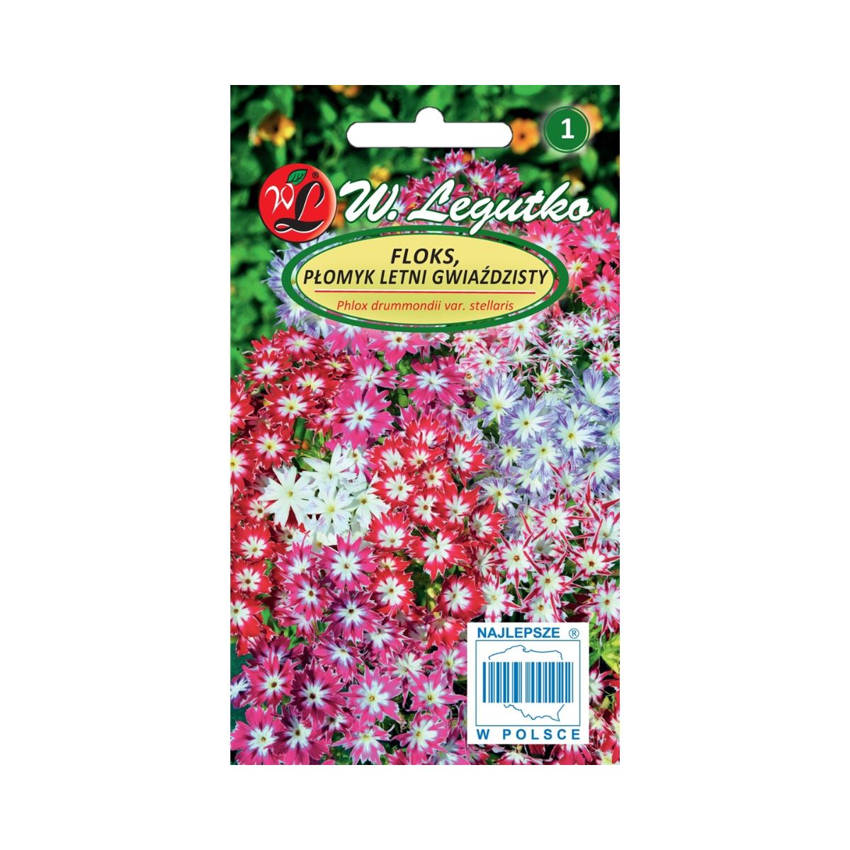 Seminte flori - Seminte de brumarele (Phlox) Cuspidata, 0,5 gr, LEGUTKO, hectarul.ro