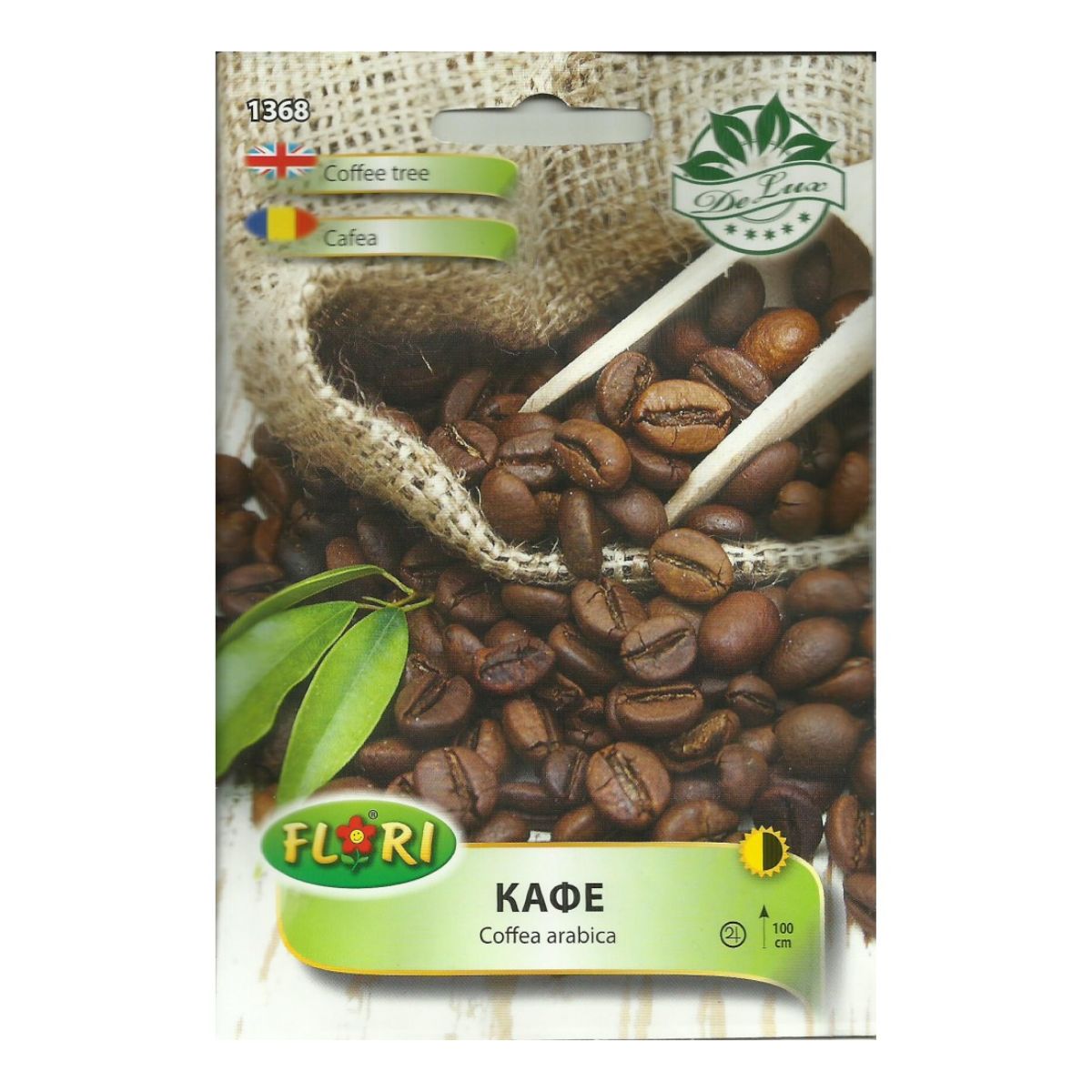 Seminte flori - Seminte de cafea arabica, 15 seminte, FLORIAN, hectarul.ro