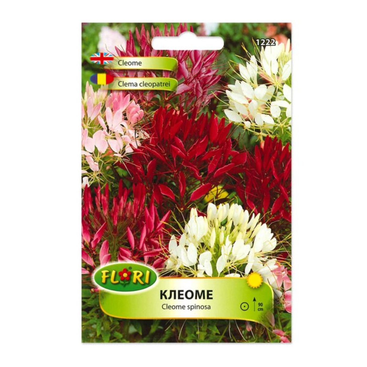 Seminte flori - Seminte de Cleoma 0,7 gr, FLORIAN, hectarul.ro