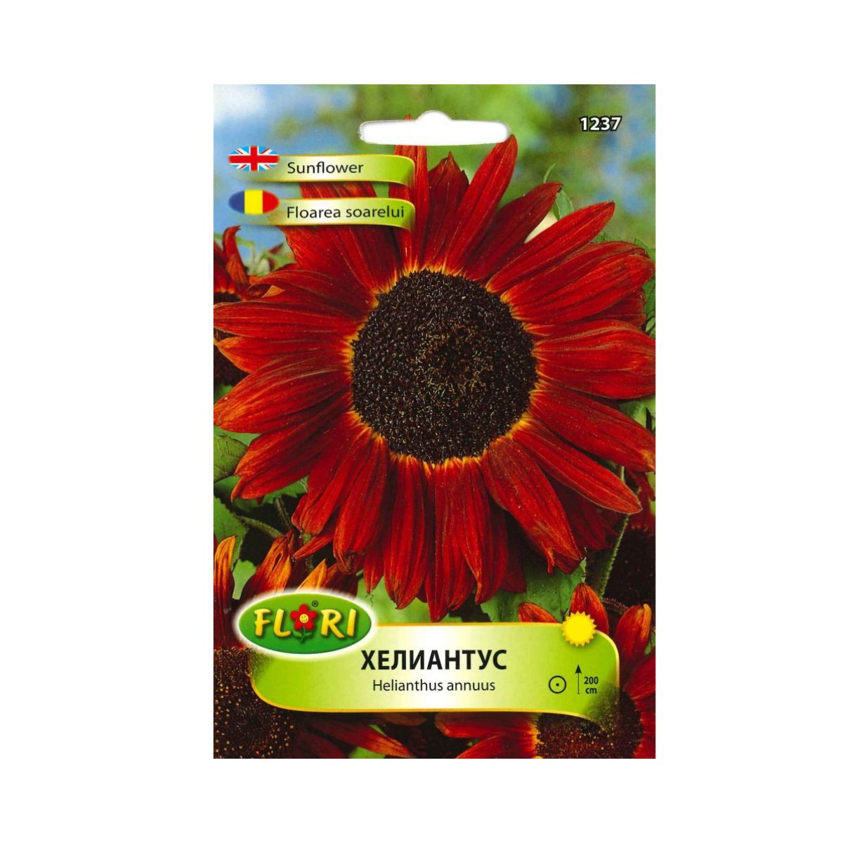Seminte flori - Seminte de floarea soarelui rosie, 2 grame FLORIAN, hectarul.ro