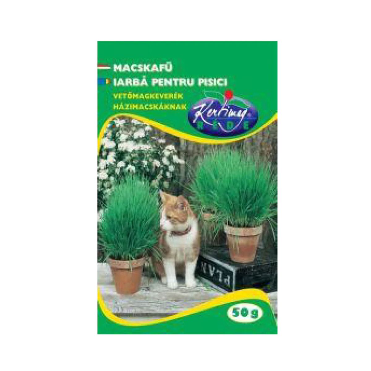 Seminte plante aromatice - Seminte de IARBA PENTRU PISICI, 50 gr, hectarul.ro