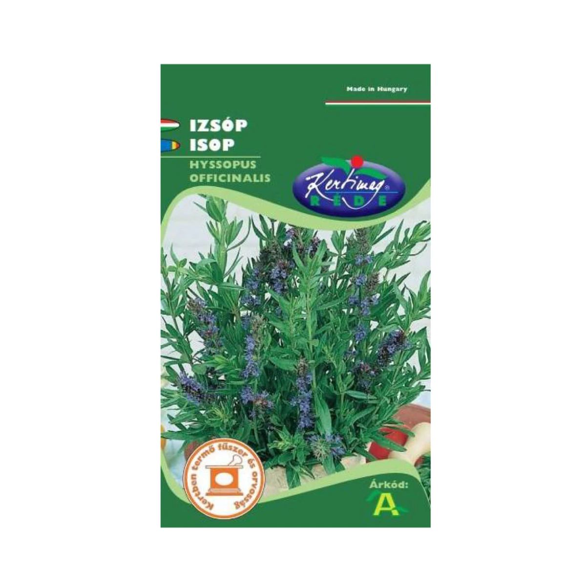Seminte flori - Seminte de ISOP, 1 gr, KERTIMAG, hectarul.ro