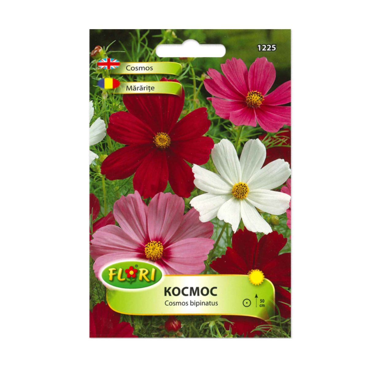 Seminte flori - Seminte de Mararite mix, 0.5 grame FLORIAN, hectarul.ro