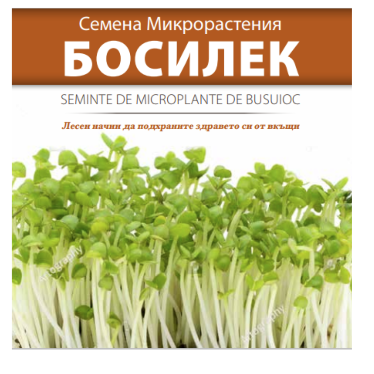 Seminte de legume HOBBY - Seminte de Microplante de Busuioc- 3 g

, hectarul.ro