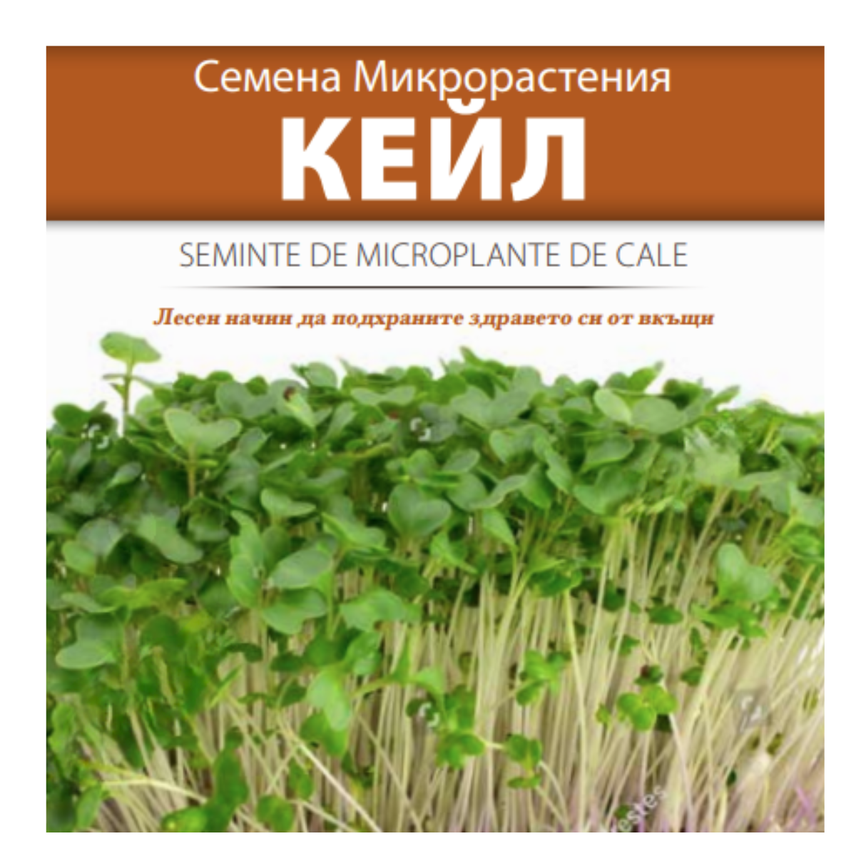 Seminte de legume HOBBY - Seminte de Microplante de Cale- 3 g




, hectarul.ro