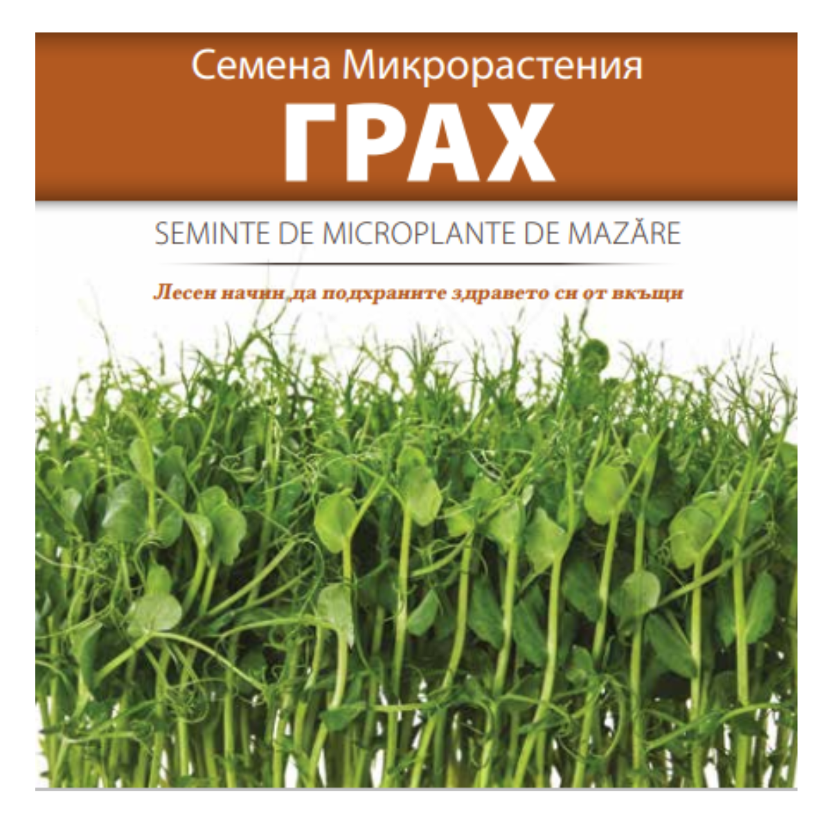 Seminte de legume HOBBY - Seminte de Microplante de Mazare- 20 g



, hectarul.ro