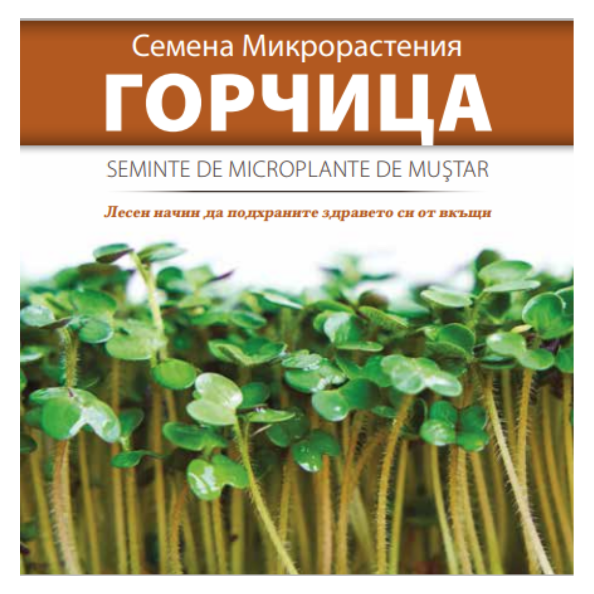 Seminte de legume HOBBY - Seminte de Microplante de Mustar- 3 g


, hectarul.ro