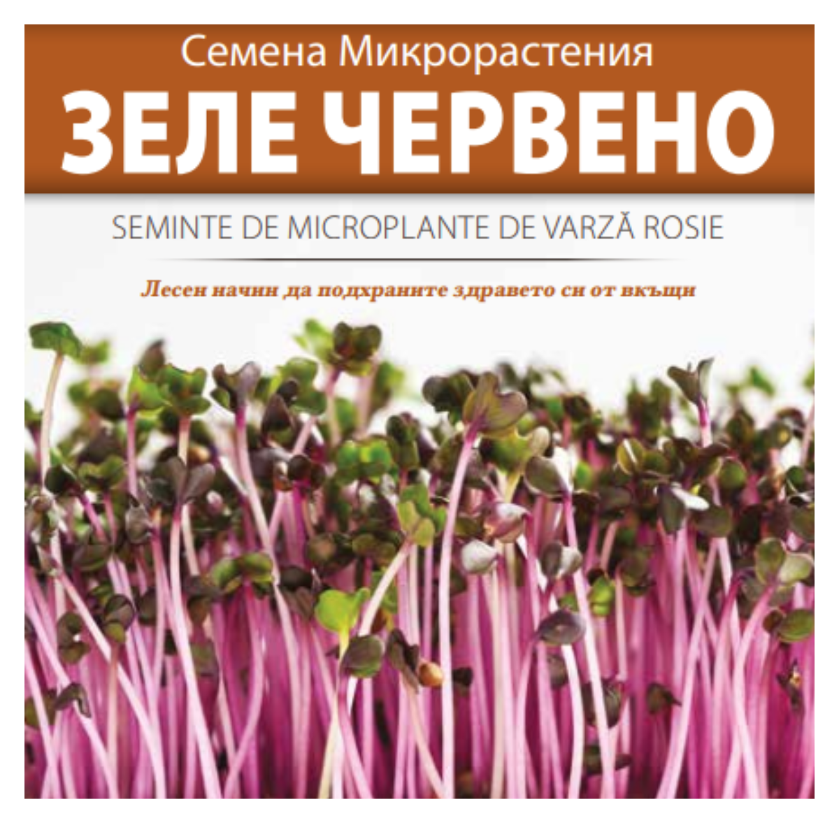 Seminte de legume HOBBY - Seminte de Microplante de Varza rosie- 3 g




, hectarul.ro