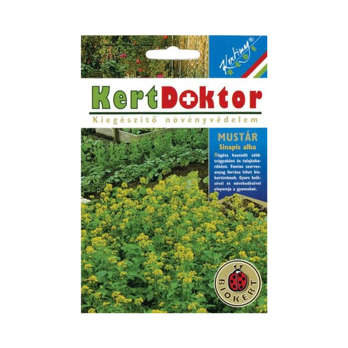 Seminte plante aromatice - Seminte de MUSTAR, 50 gr, KERTIMAG, hectarul.ro