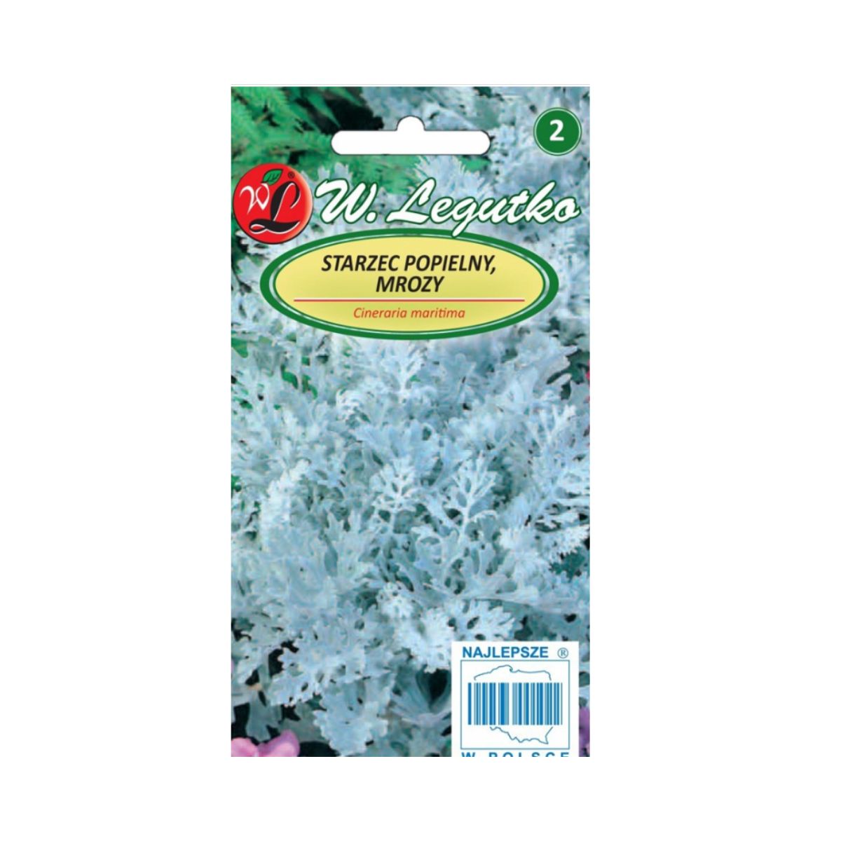 Seminte flori - Seminte de planta argintie, 0,2 gr, LEGUTKO, hectarul.ro