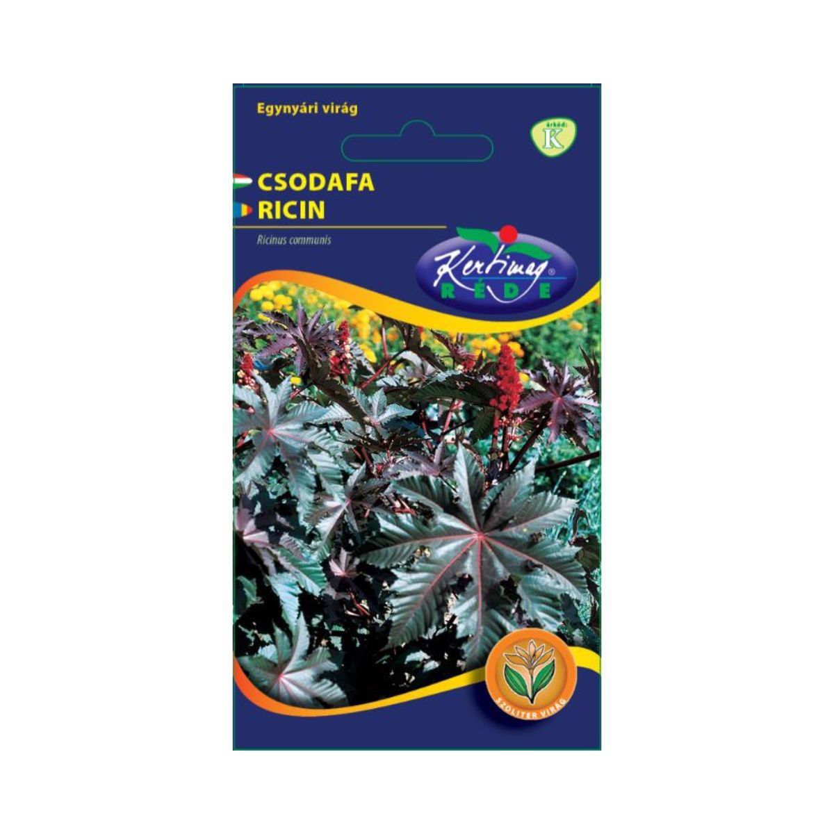 Seminte flori - Seminte de RICIN comun, KERTIMAG, hectarul.ro