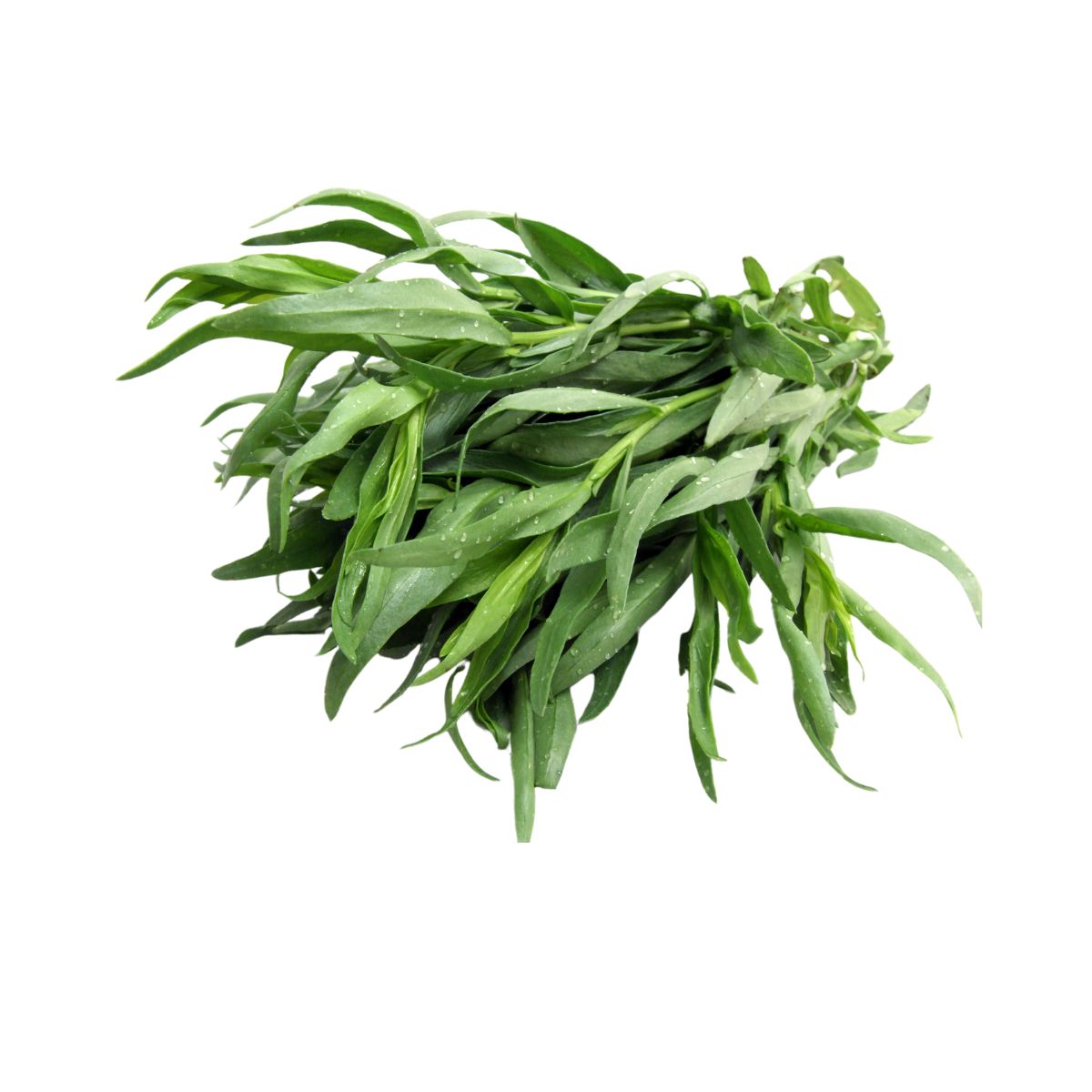Salata Verde - Seminte de salata Tarhon parfumat, 0,1 grame, hectarul.ro