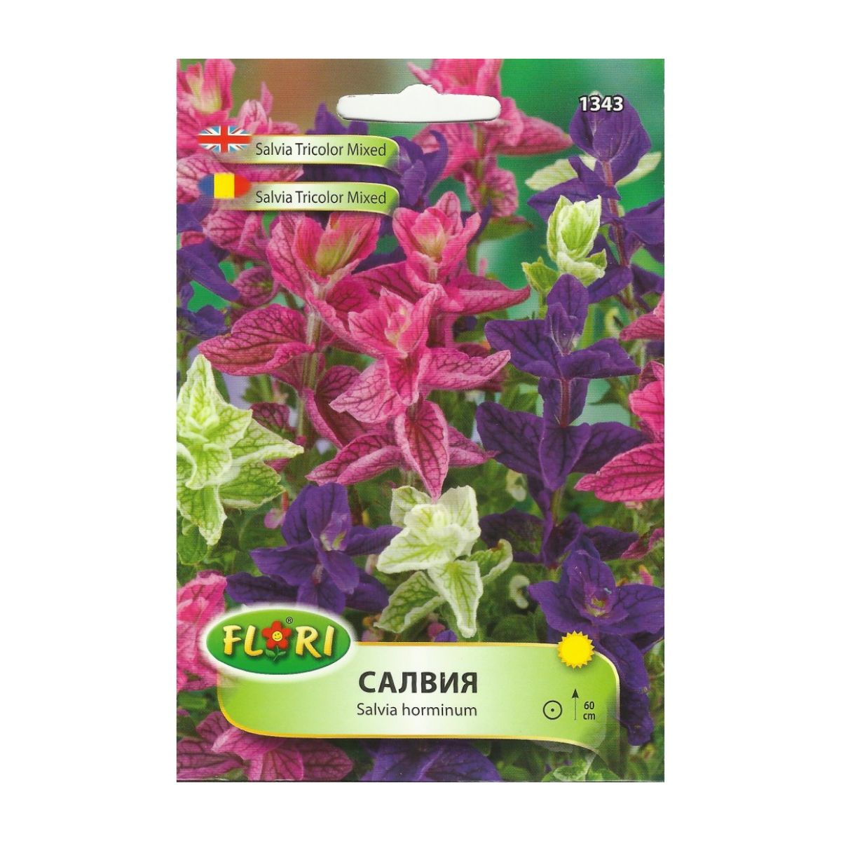 Seminte flori - Seminte de salvia tricolor mix, 400 seminte, FLORIAN, hectarul.ro