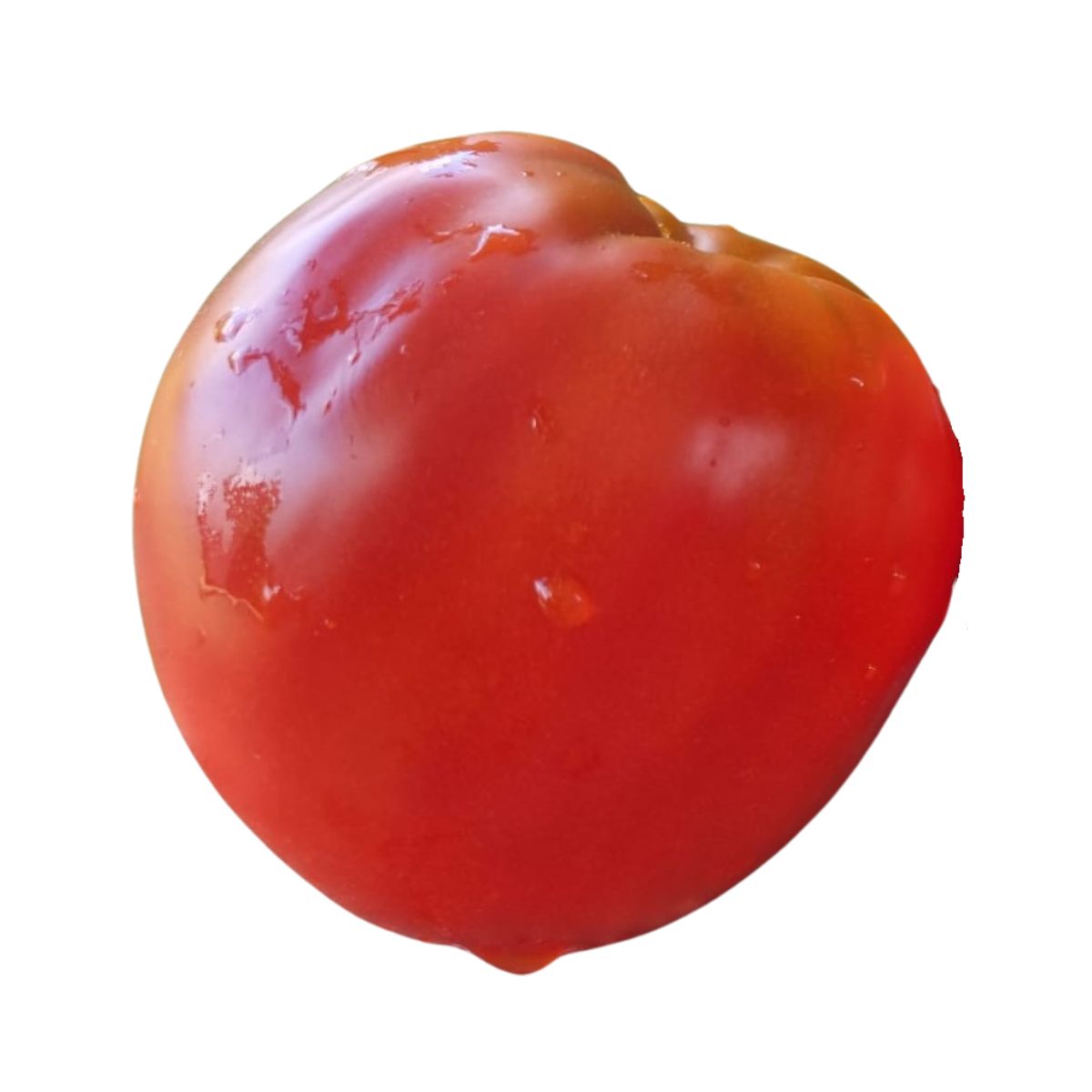 Tomate - Seminte de tomate ANDRADA (inima de bou), 2 grame, hectarul.ro