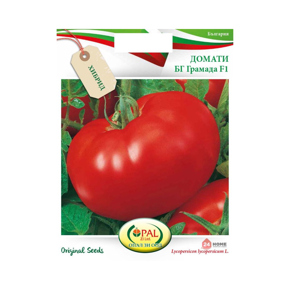 Tomate - Seminte de tomate BG Gramada F1, 0,2 grame OPAL, hectarul.ro