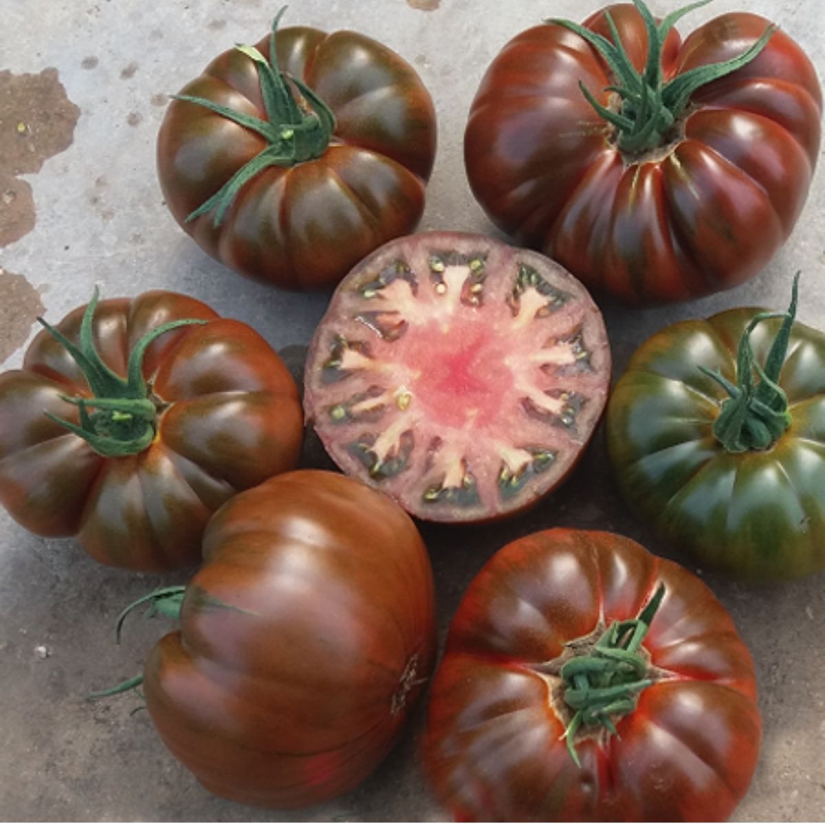 Tomate - Seminte de tomate BUCANERO F1, 100 seminte, YUKSEL, hectarul.ro