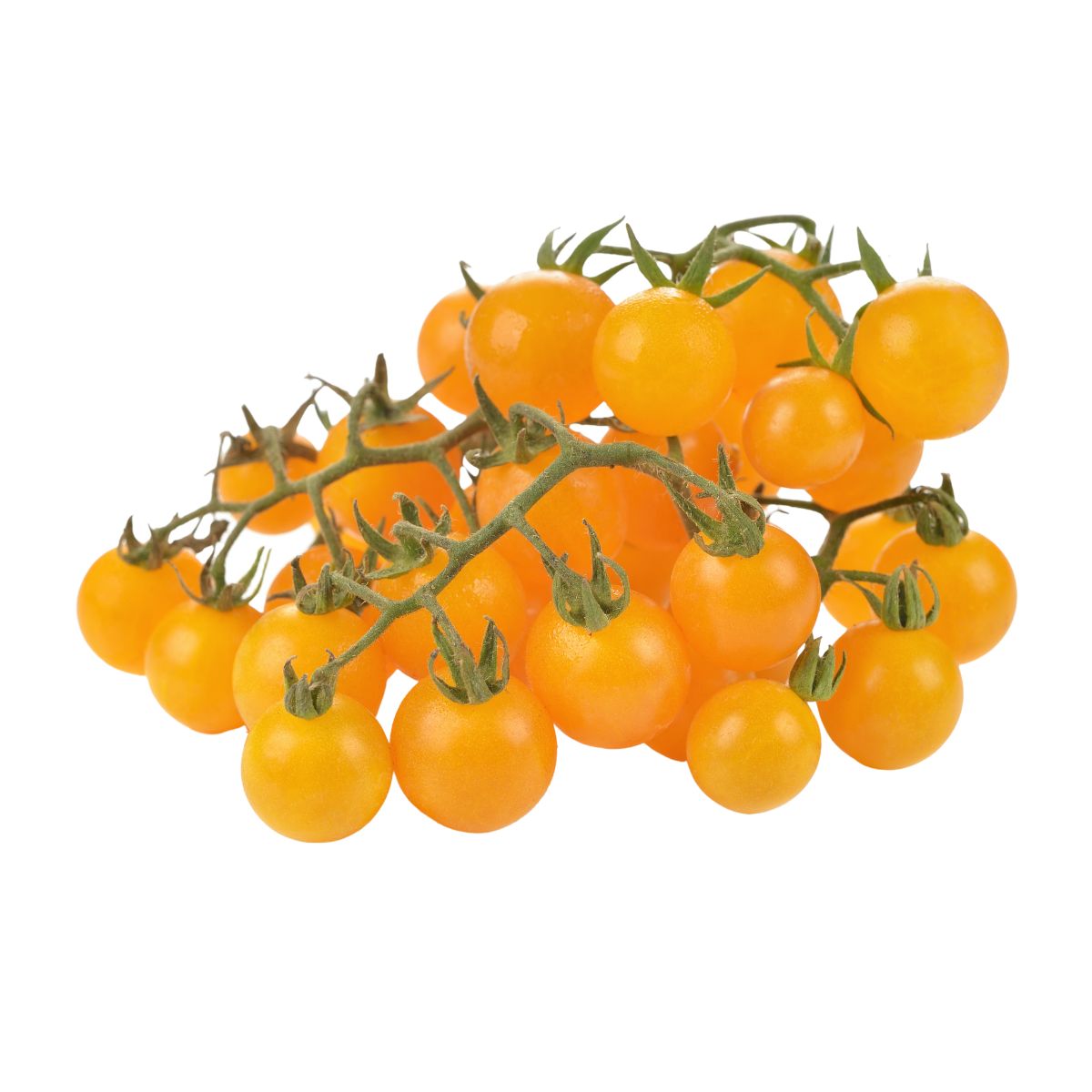Tomate - Seminte de tomate Cherry galbene, 0.5 grame FLORIAN, hectarul.ro