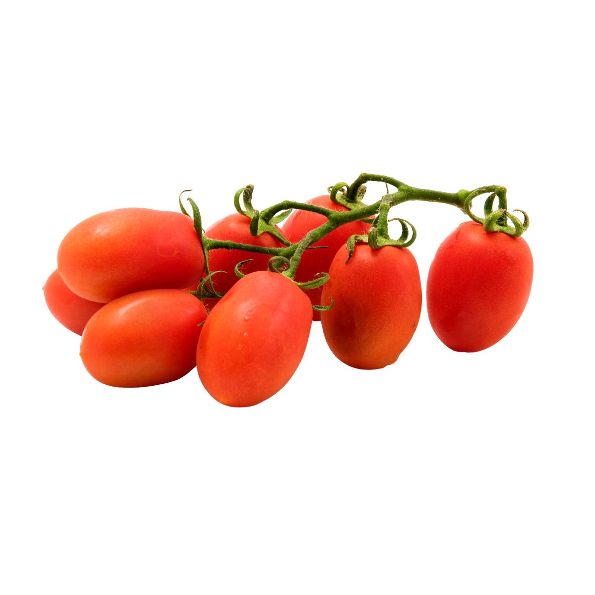 Tomate - Seminte de tomate Roma, 1 gram, FLORIAN, hectarul.ro