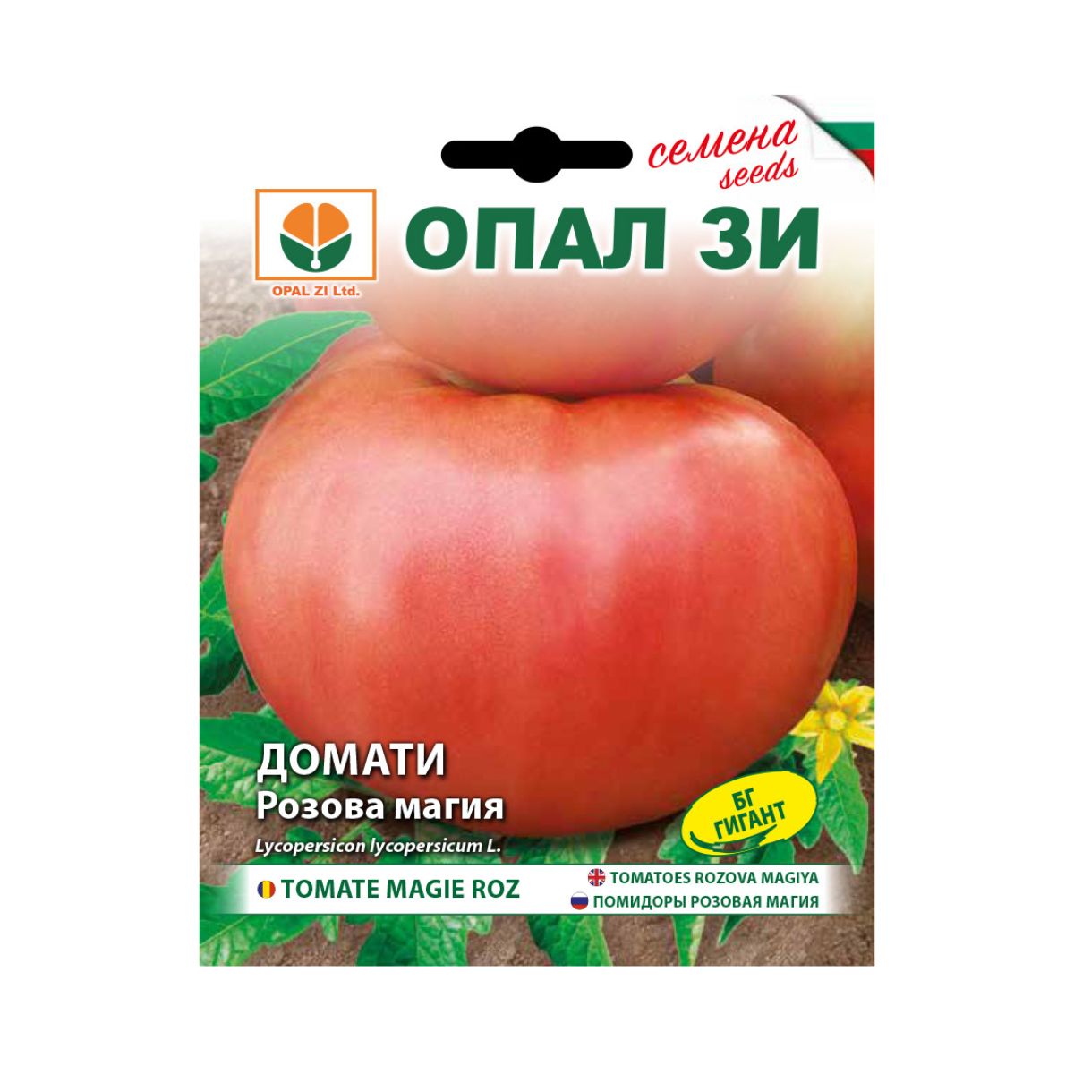 Tomate - Seminte de tomate Rozova magia (Magie Roz), 0,2 grame OPAL, hectarul.ro