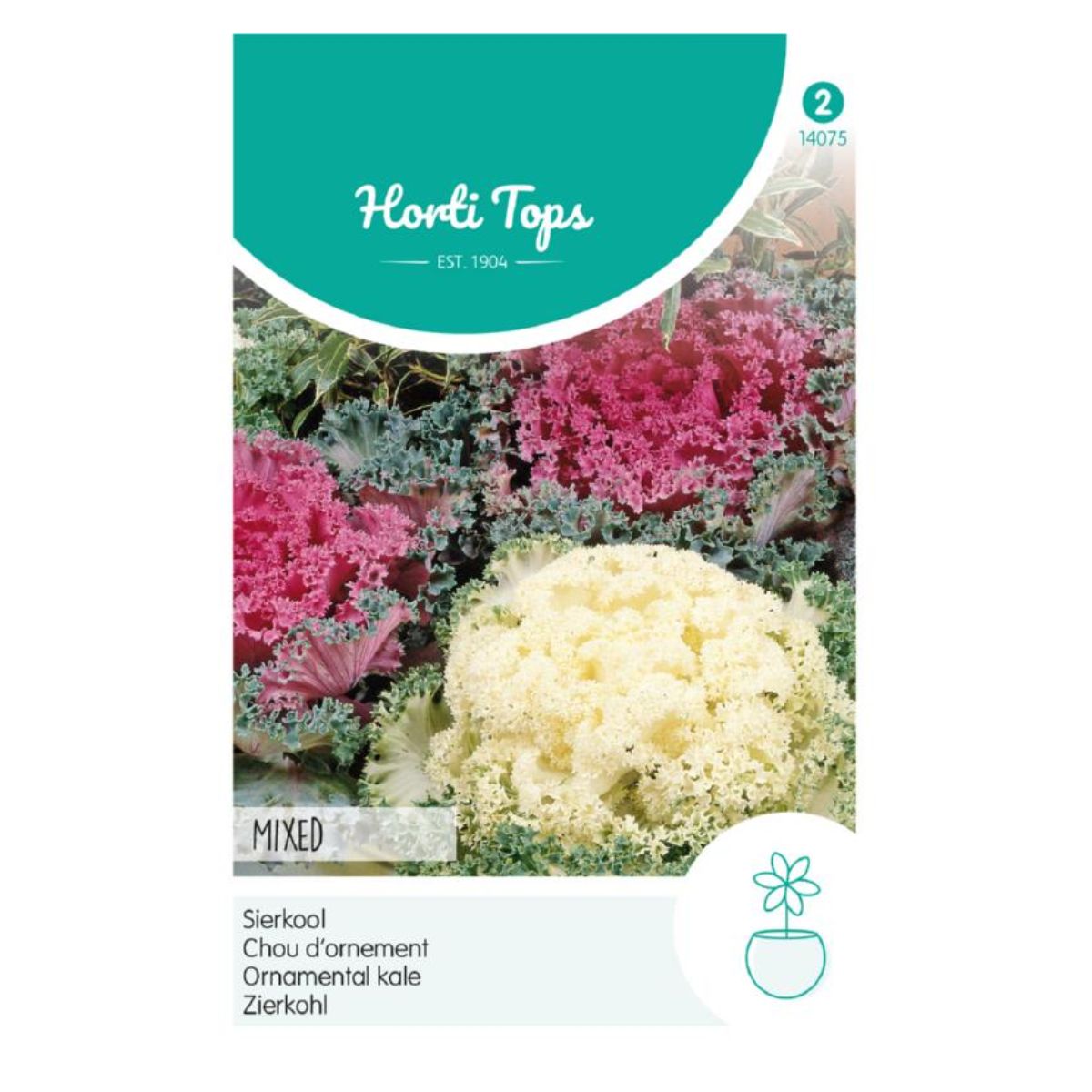 Seminte flori - Seminte de varza ornamentala, 0,25 grame, Hortitops, hectarul.ro