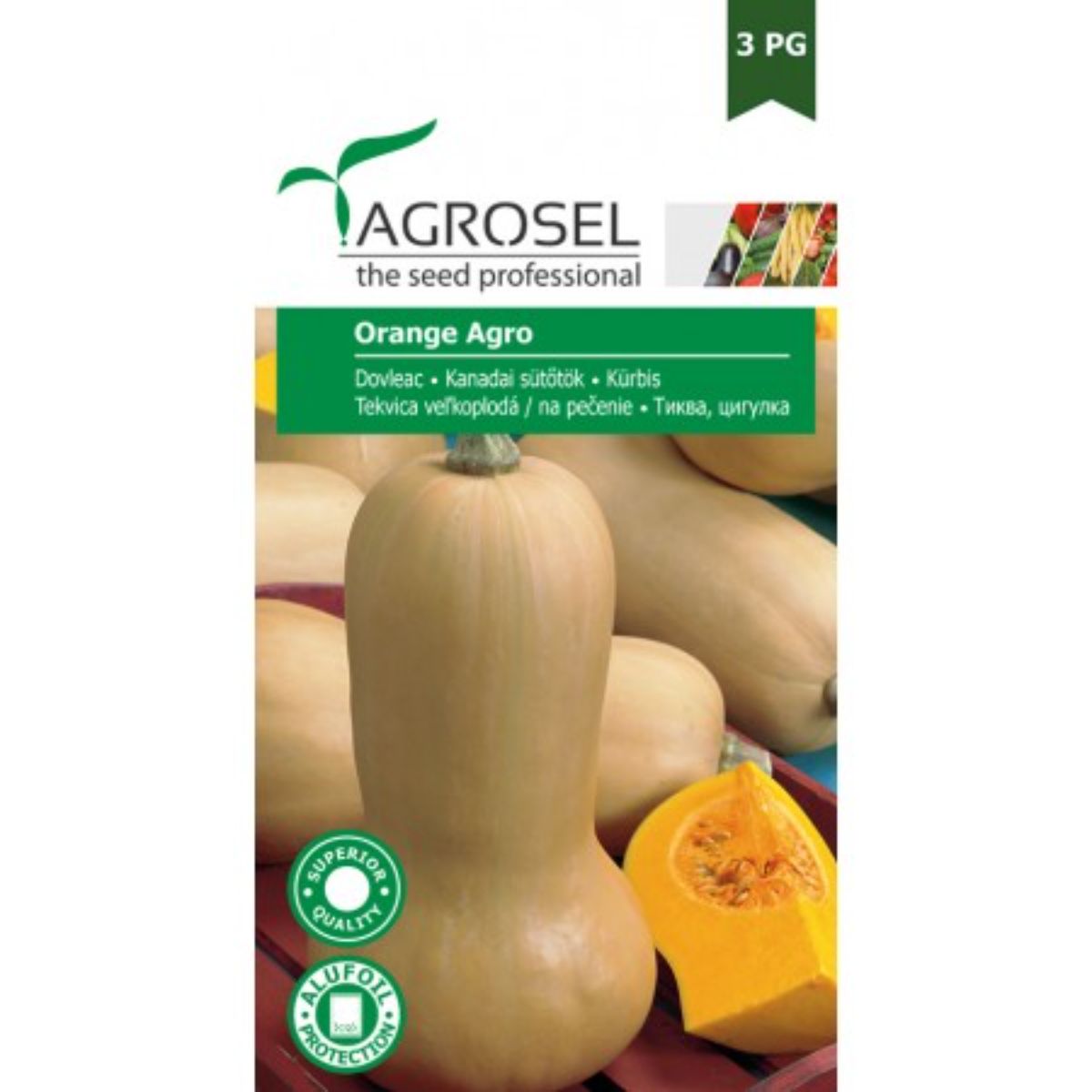 Dovleac  - Seminte Dovleac Placintar De Copt Orange Agro Agrosel 5 g, hectarul.ro