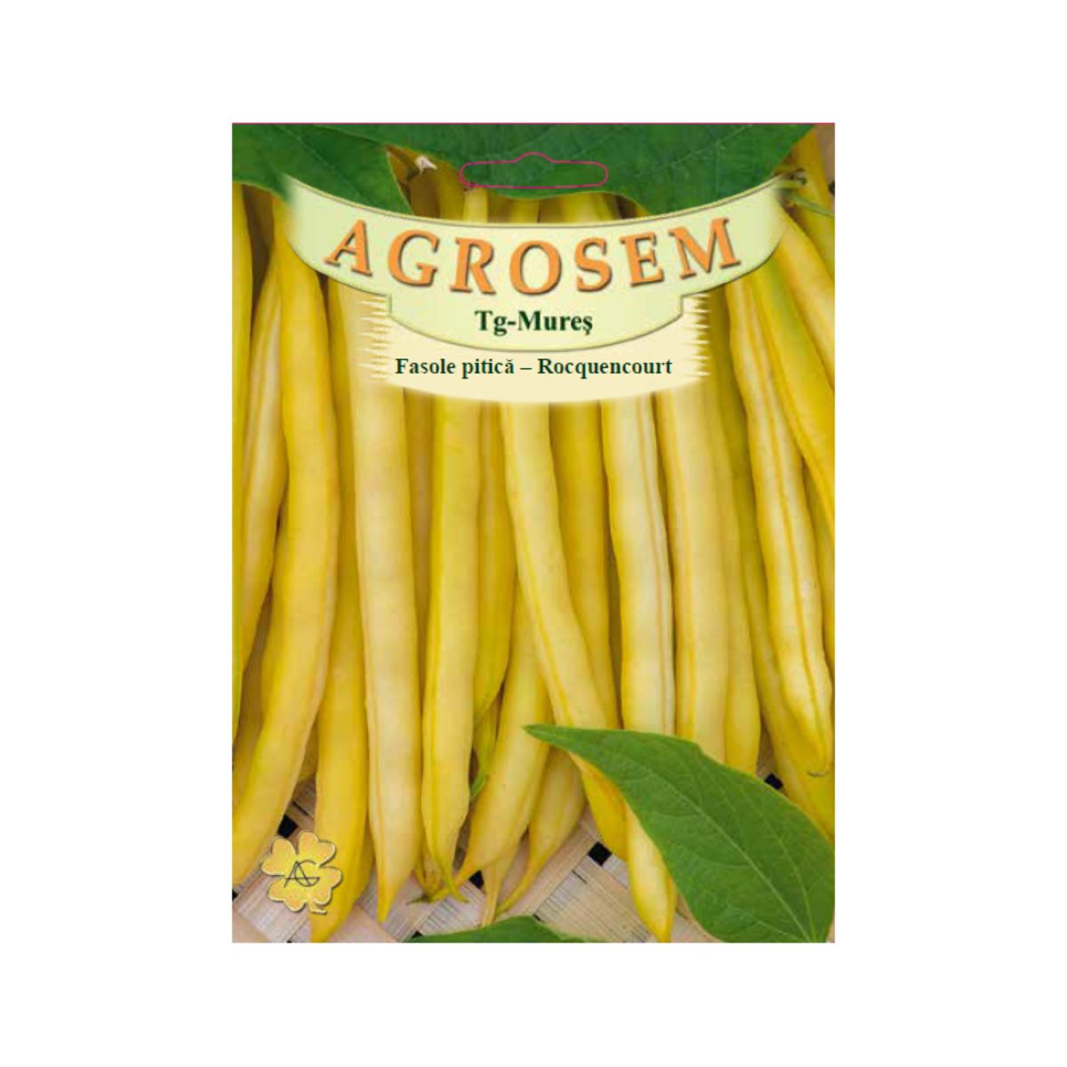Fasole - Seminte Fasole pitică  galbenă rotundă Rocquencourt TRATAT AGROSEM 50 g, hectarul.ro