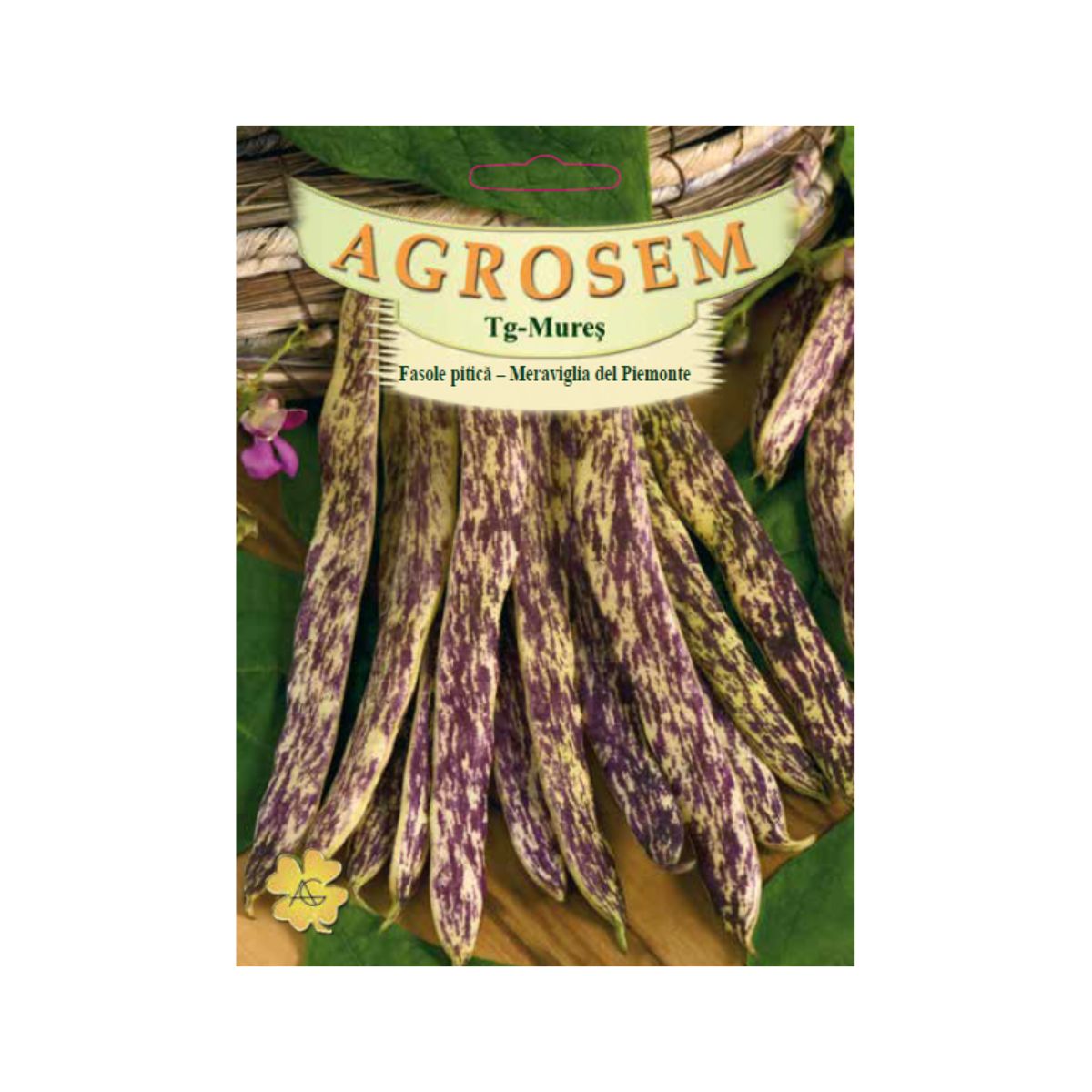Fasole - Seminte Fasole pitică  pastaie tărcată Meraviglia del Piemonte AGROSEM 50 g, hectarul.ro