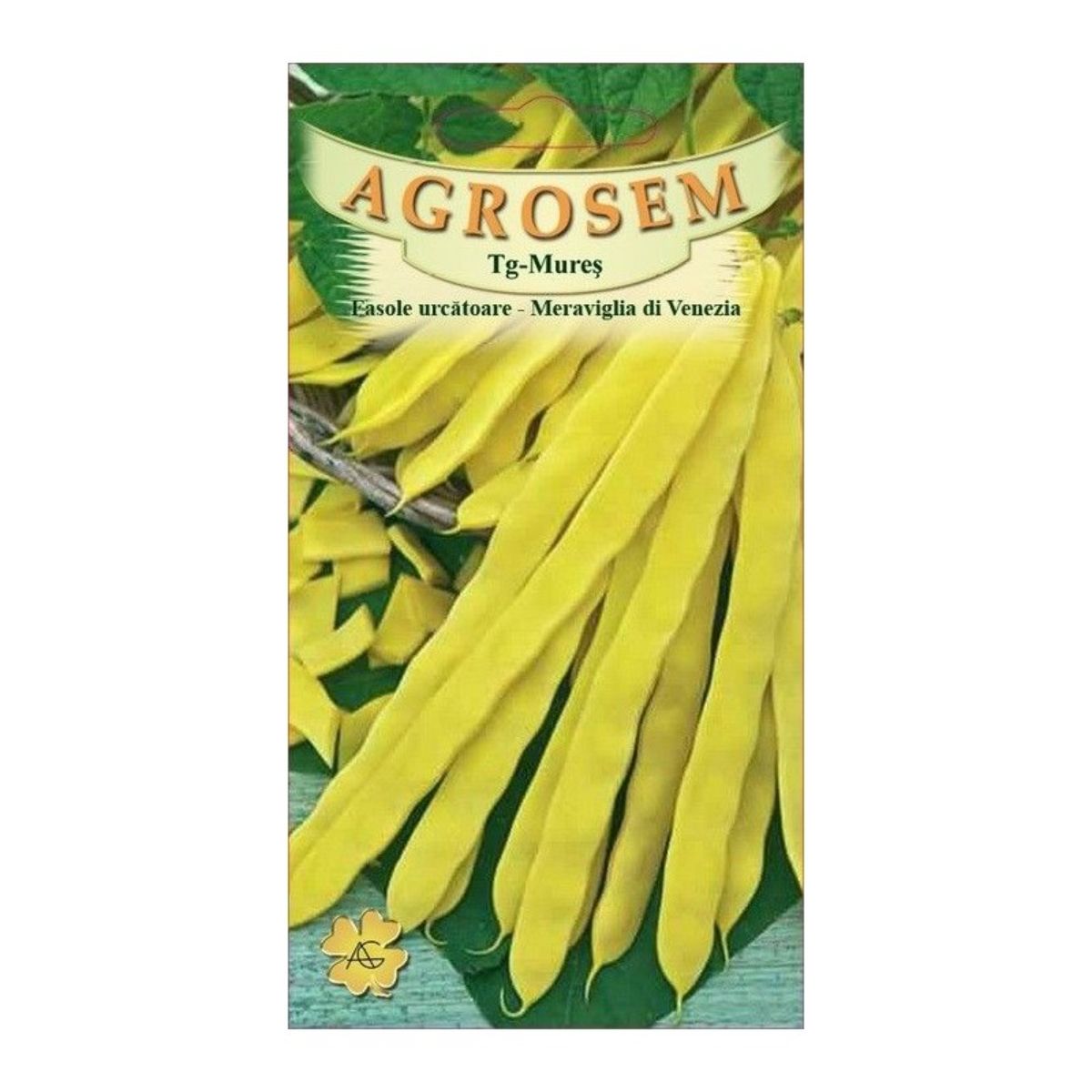 Fasole - Seminte Fasole urcătoare                galbenă lată Meraviglia Di Venezia TRATAT AGROSEM 50 g, hectarul.ro