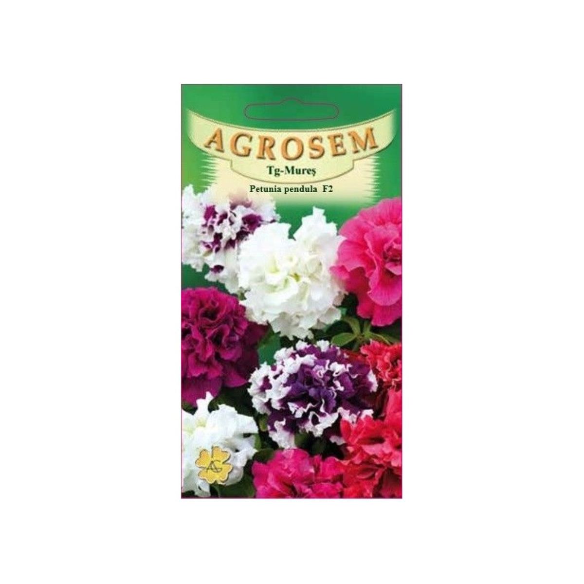 Seminte flori - Seminte Flori Petunia H. Pendula Polka F2   AGROSEM 0.3 g, hectarul.ro