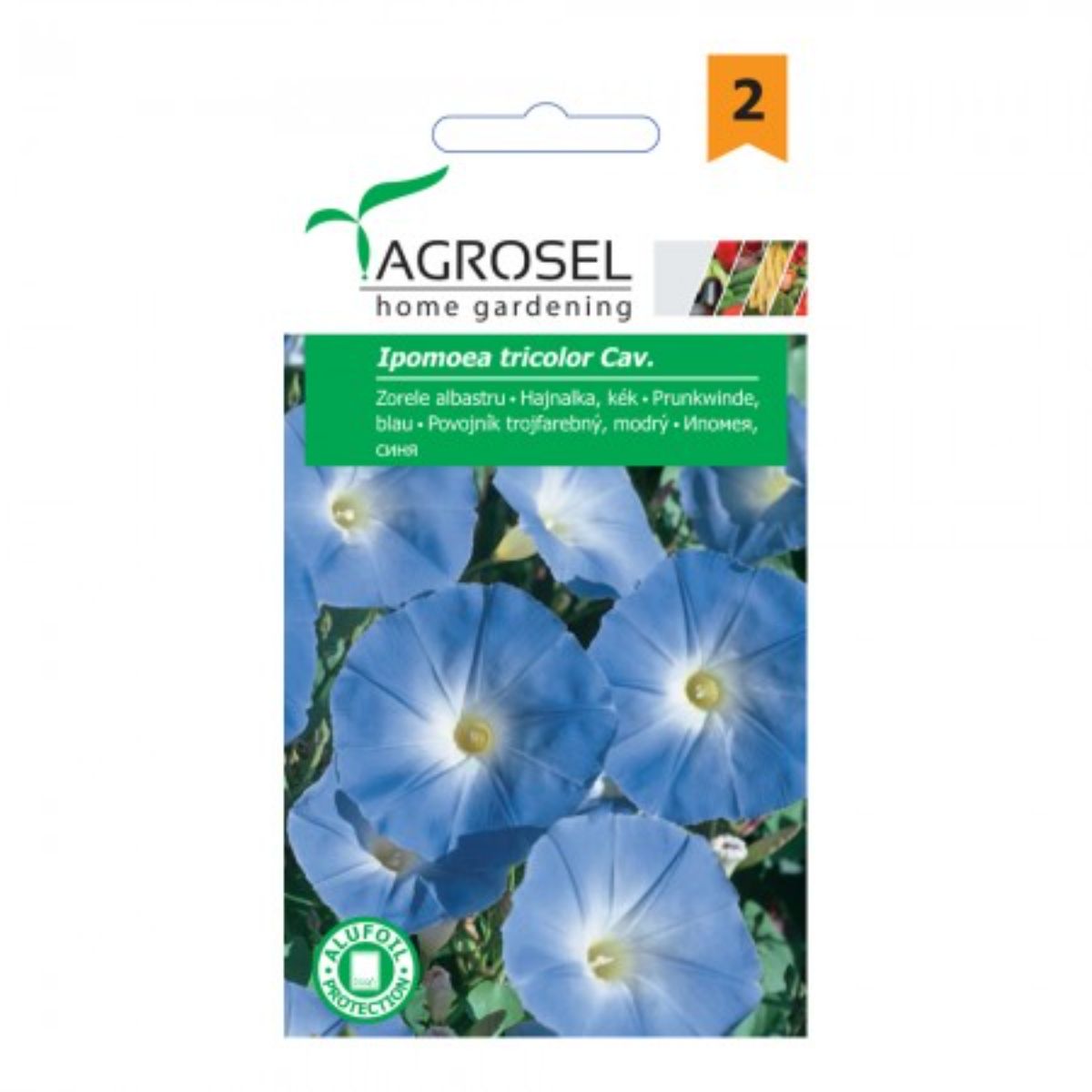 Seminte flori - Seminte flori Zorele pitice albastru Agrosel 2 g, hectarul.ro