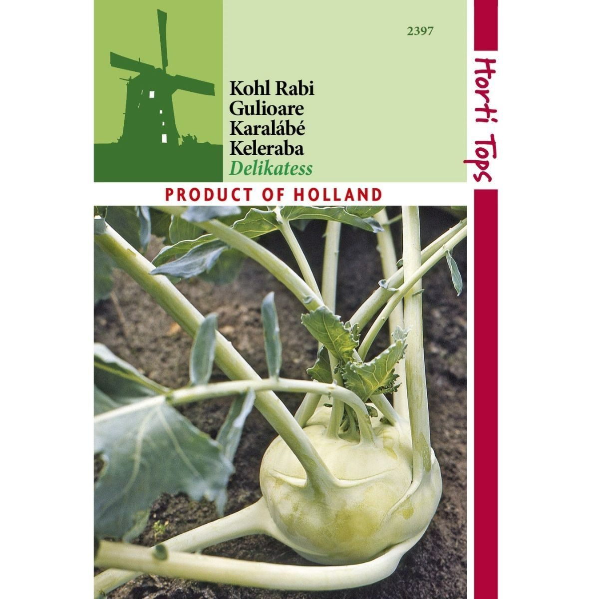 Seminte de legume HOBBY - Seminte Gulii WHITE  DELIKATESS Horti Tops 1 g, hectarul.ro