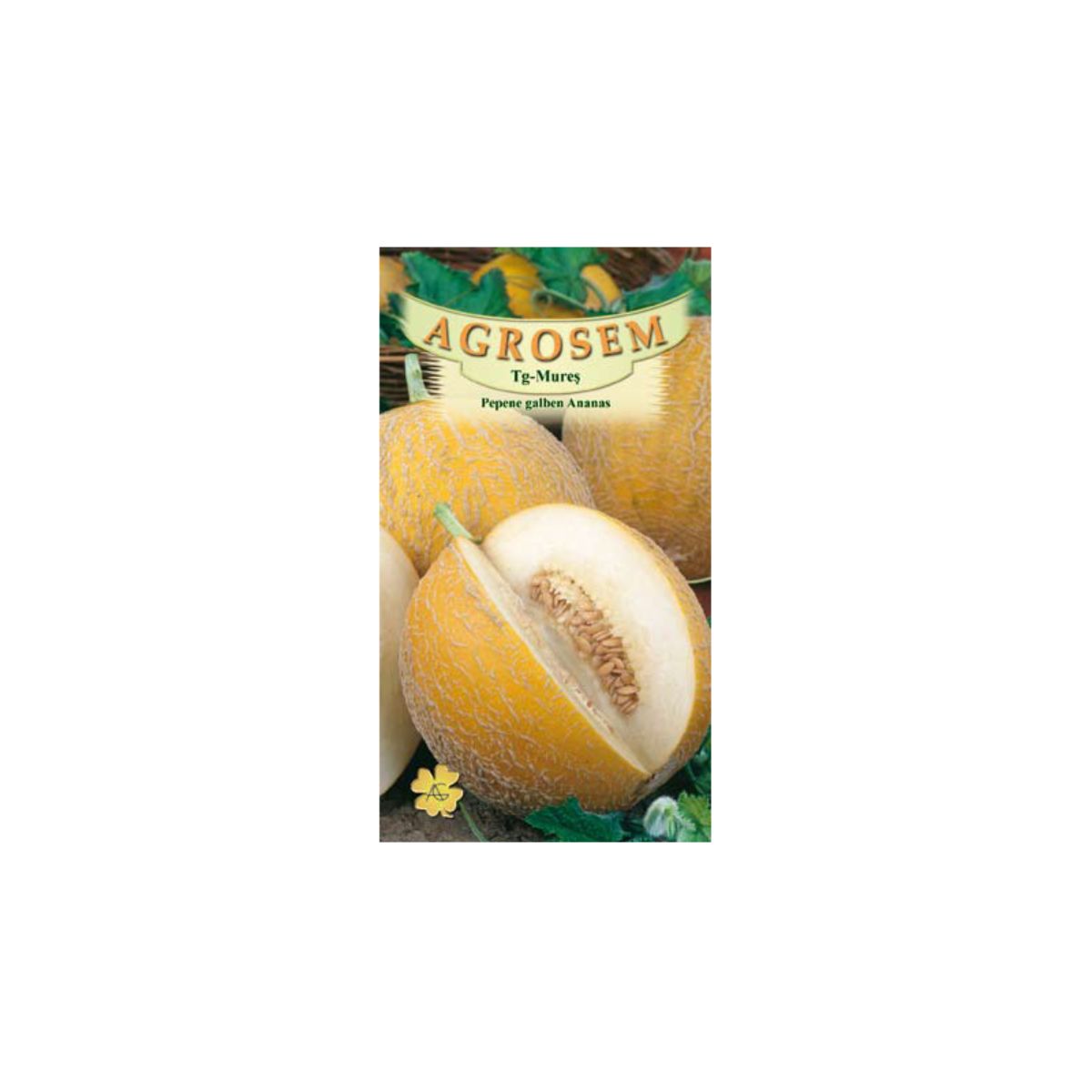 Pepene - Seminte Pepene galben Ananas AGROSEM 10 g, hectarul.ro