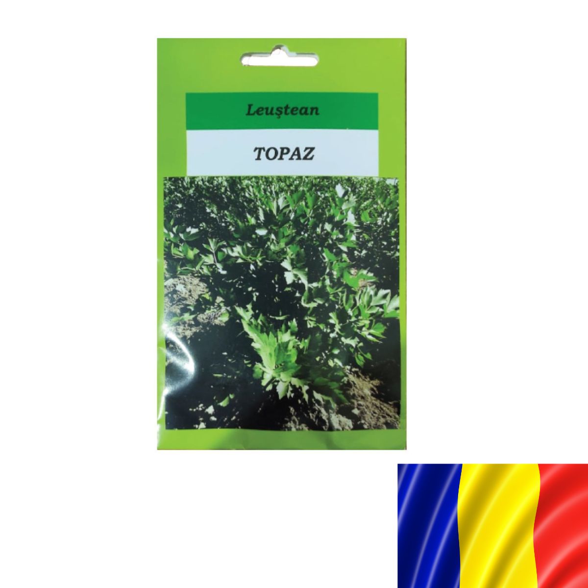 Seminte plante aromatice - Seminte romanesti de leustean TOPAZ, 5gr, SCDL Buzau, hectarul.ro