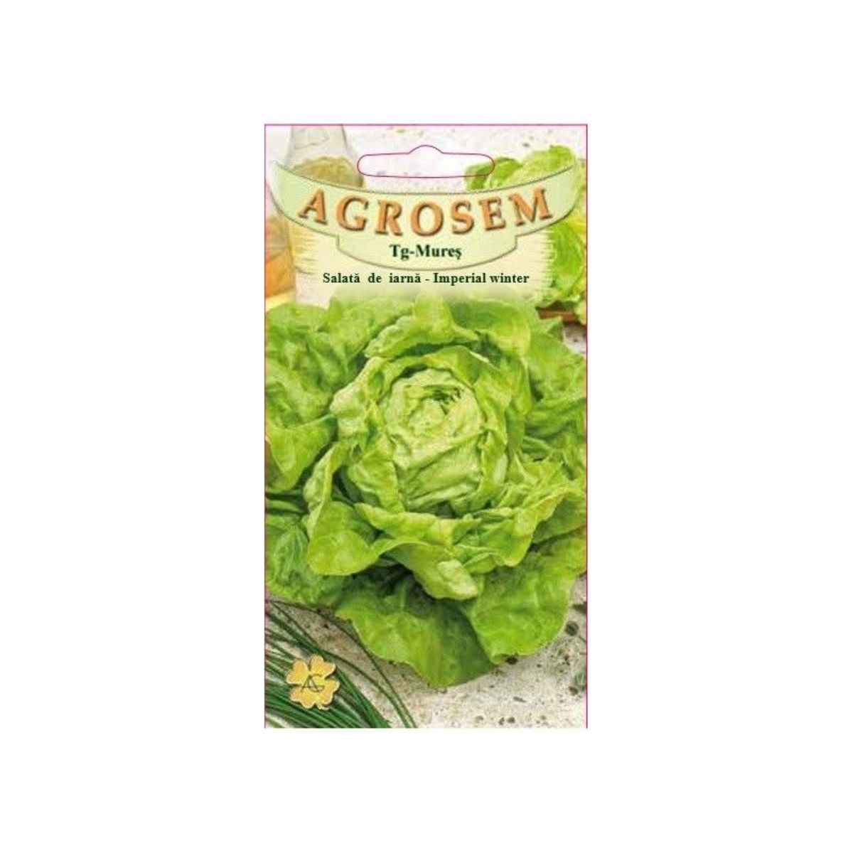 Salata Verde - Seminte Salată  iarnă Imperial Winter AGROSEM 15 g, hectarul.ro