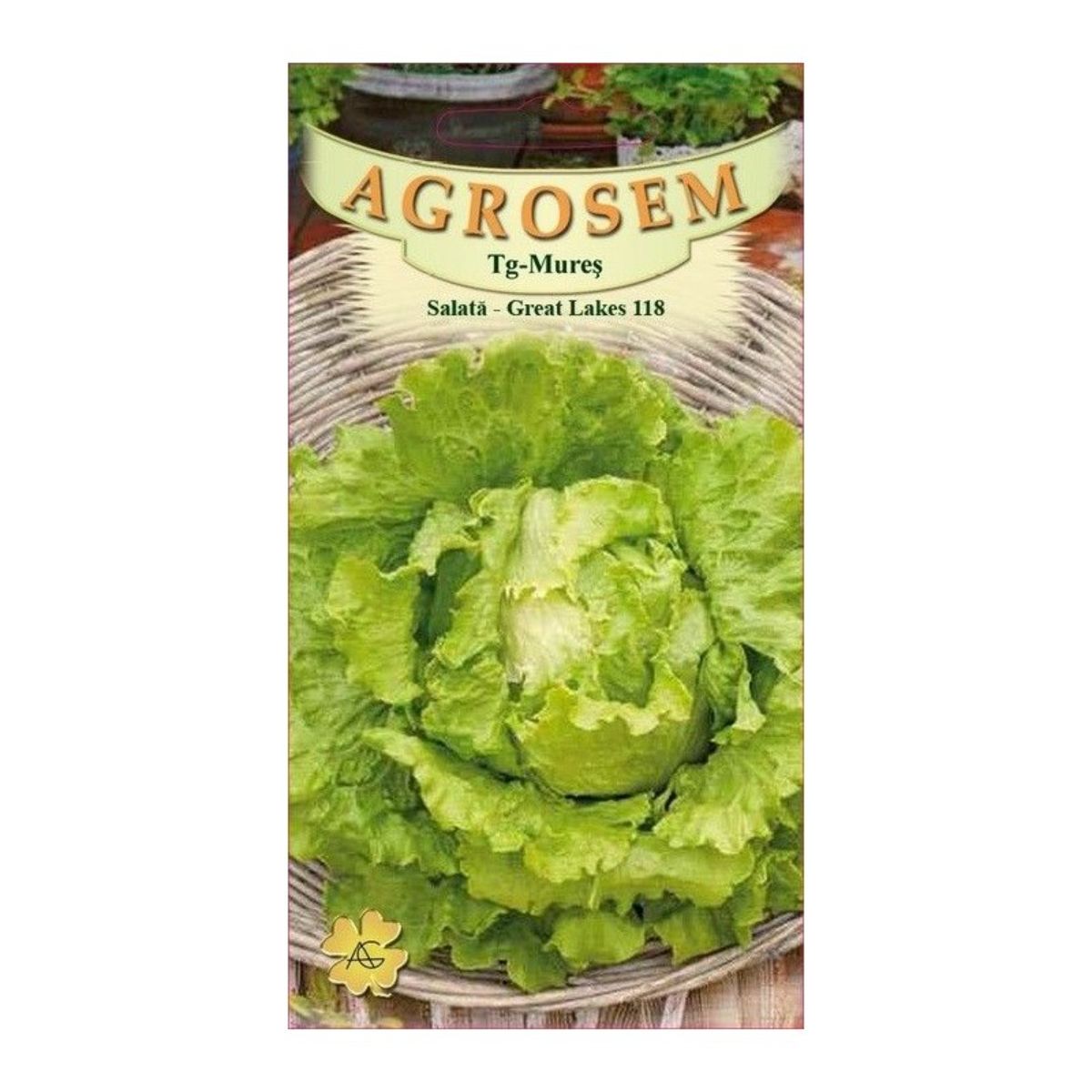 Salata Verde - Seminte Salată iceberg Great Lakes AGROSEM 15 g, hectarul.ro