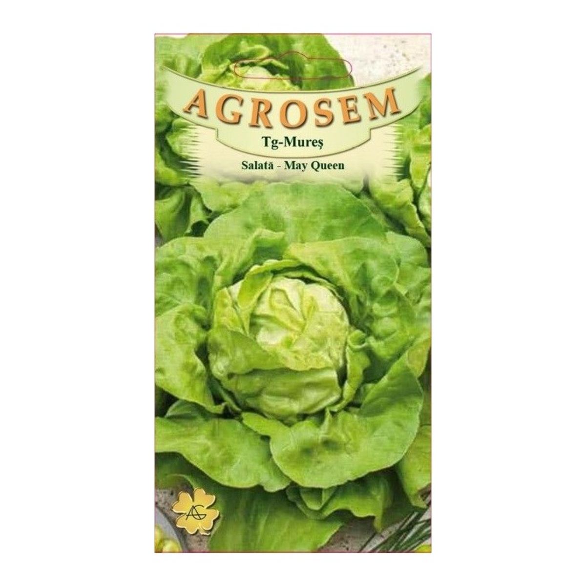 Salata Verde - Seminte Salată May  Queen    AGROSEM 15 g, hectarul.ro