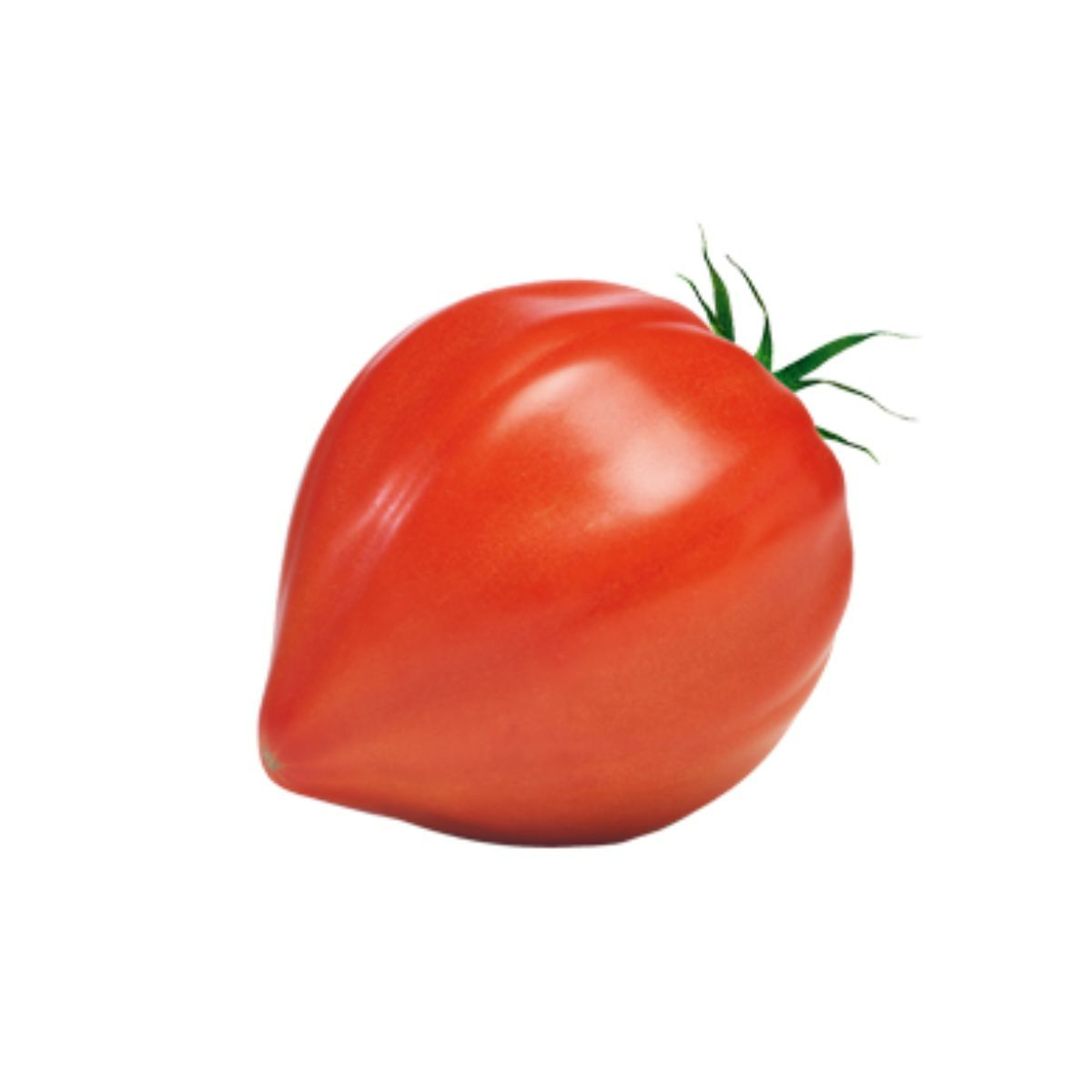 Tomate - Seminte Tomate INIMA DE BOU (Coeur de Boeuf) Pop Vriend 5 g, hectarul.ro