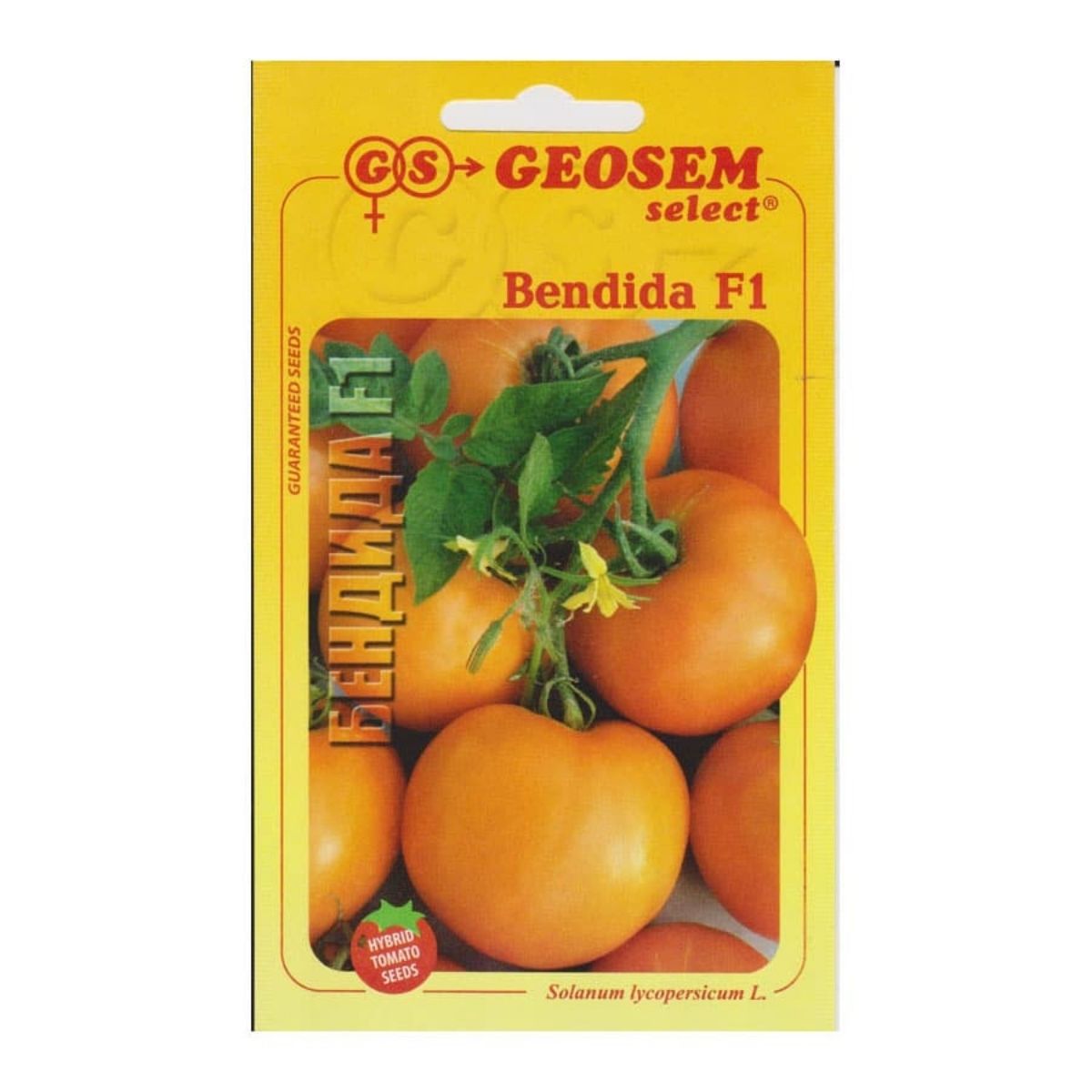 Tomate - Seminte Tomate semi-timpurii BENDIDA orange color GeosemSelect 250 sem, hectarul.ro