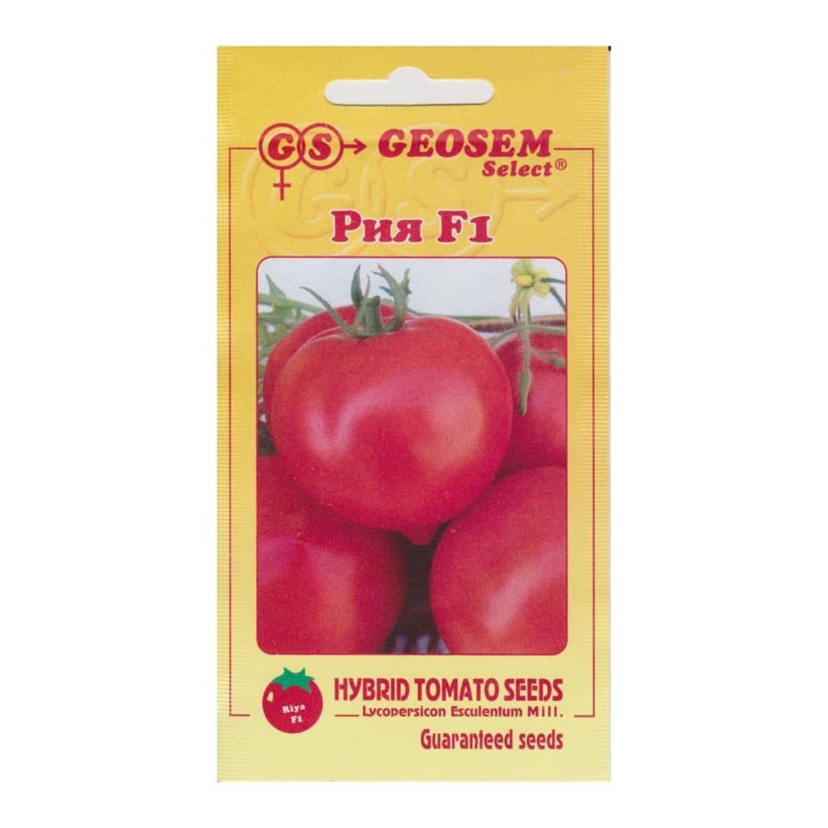Tomate - Seminte Tomate semi-timpurii RIYA GeosemSelect 2500 sem, hectarul.ro