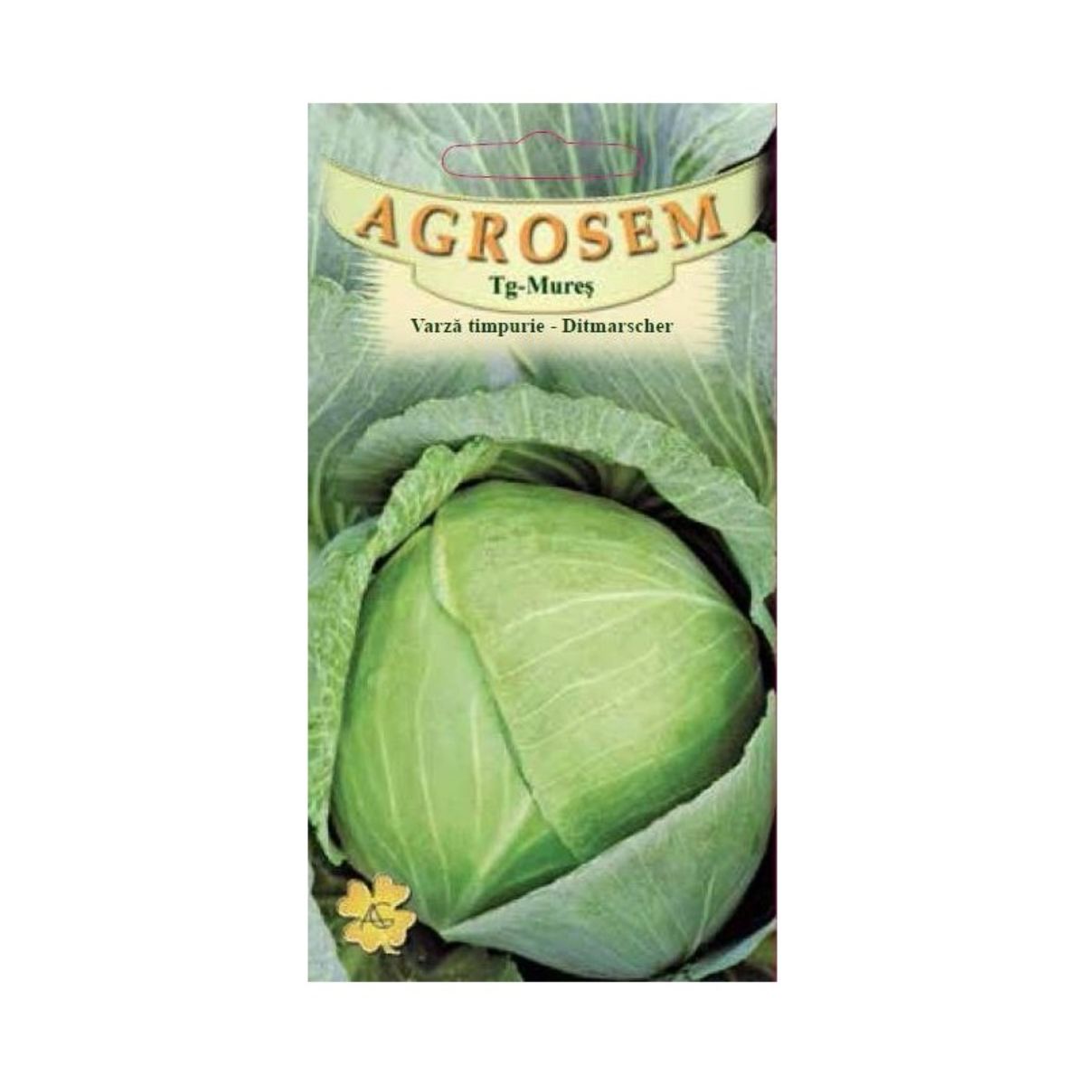 Seminte de legume HOBBY - Seminte Varză  timpurie  Ditmarscher  AGROSEM 20 g, hectarul.ro